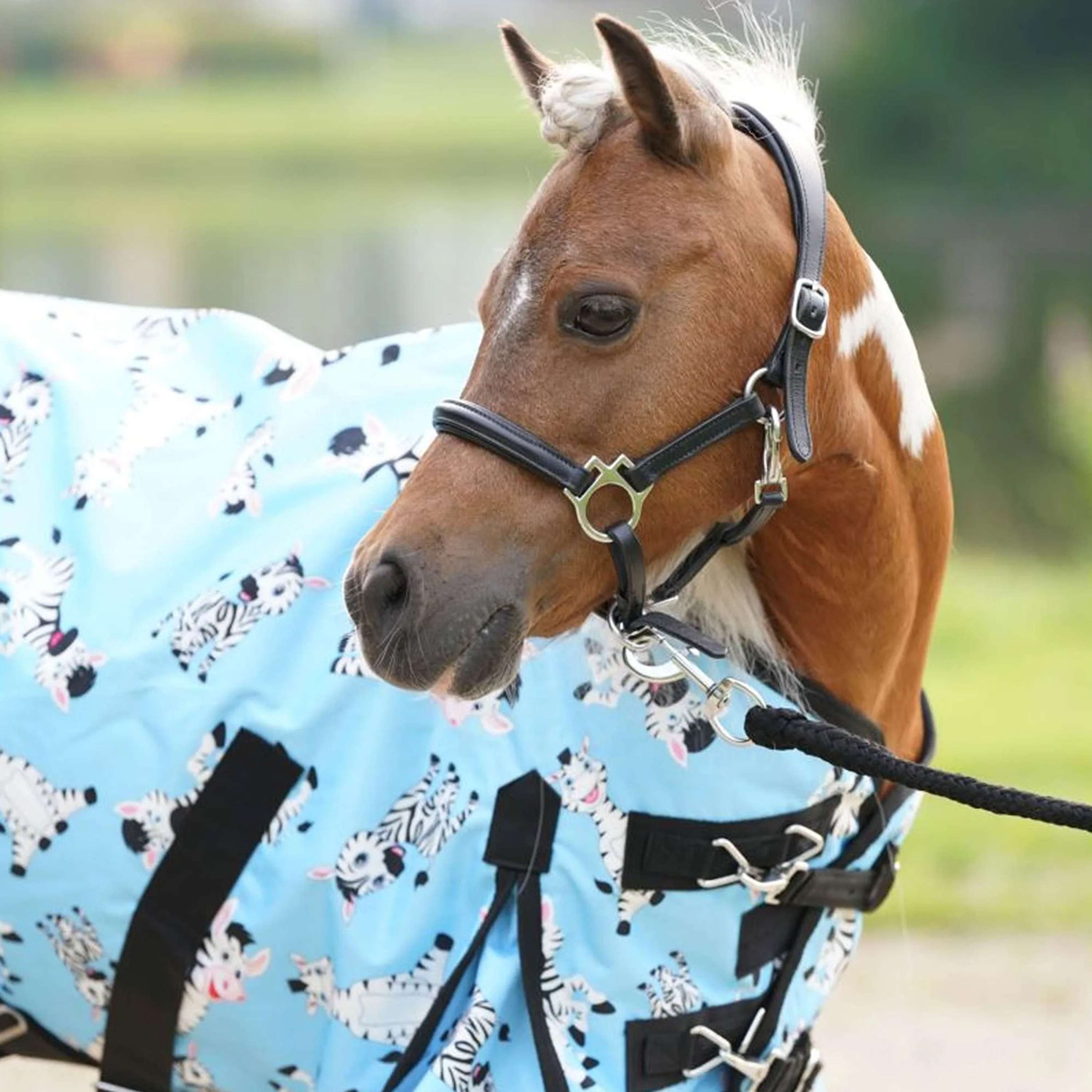 HB Outdoor Rug Mr Squeez 0g Lightblue