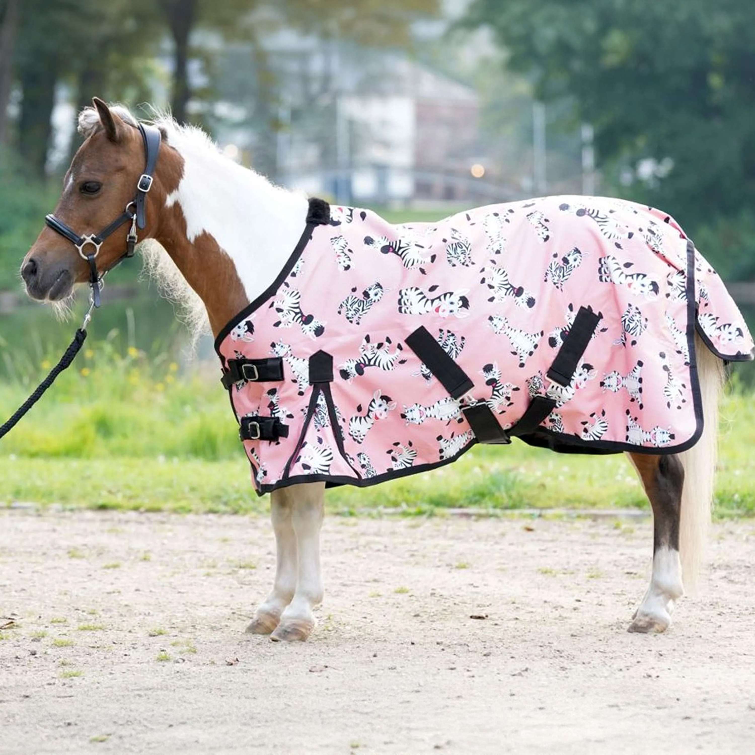 HB Outdoor Rug Mr Squeez 0g Peach