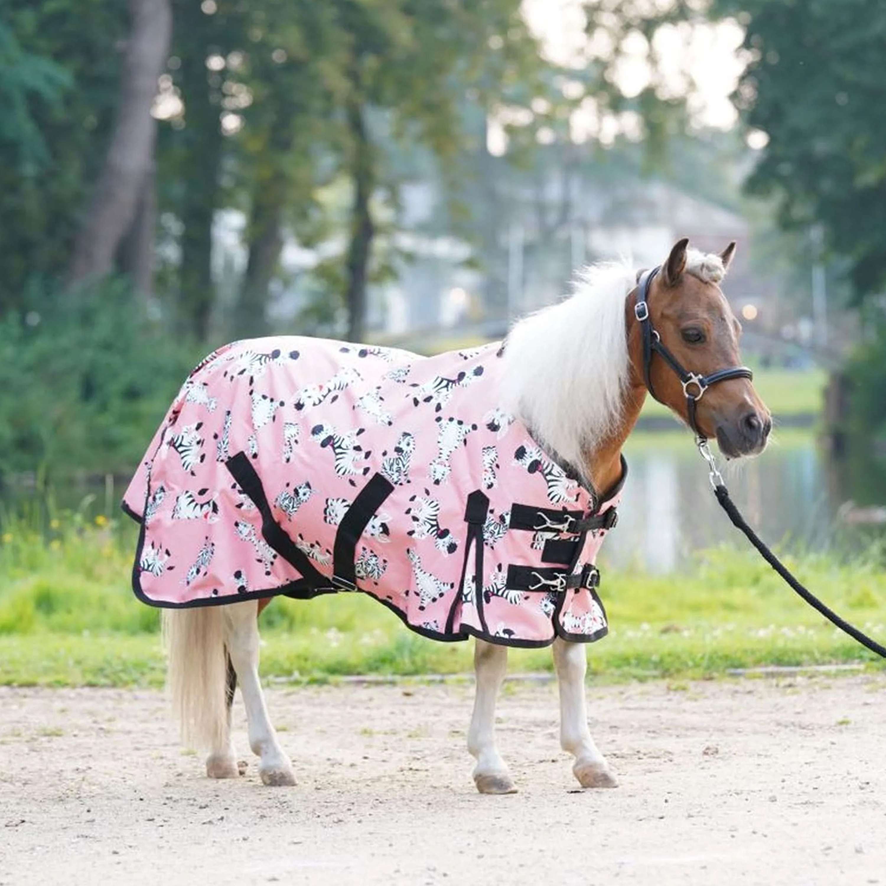 HB Outdoor Rug Mr Squeez 0g Peach