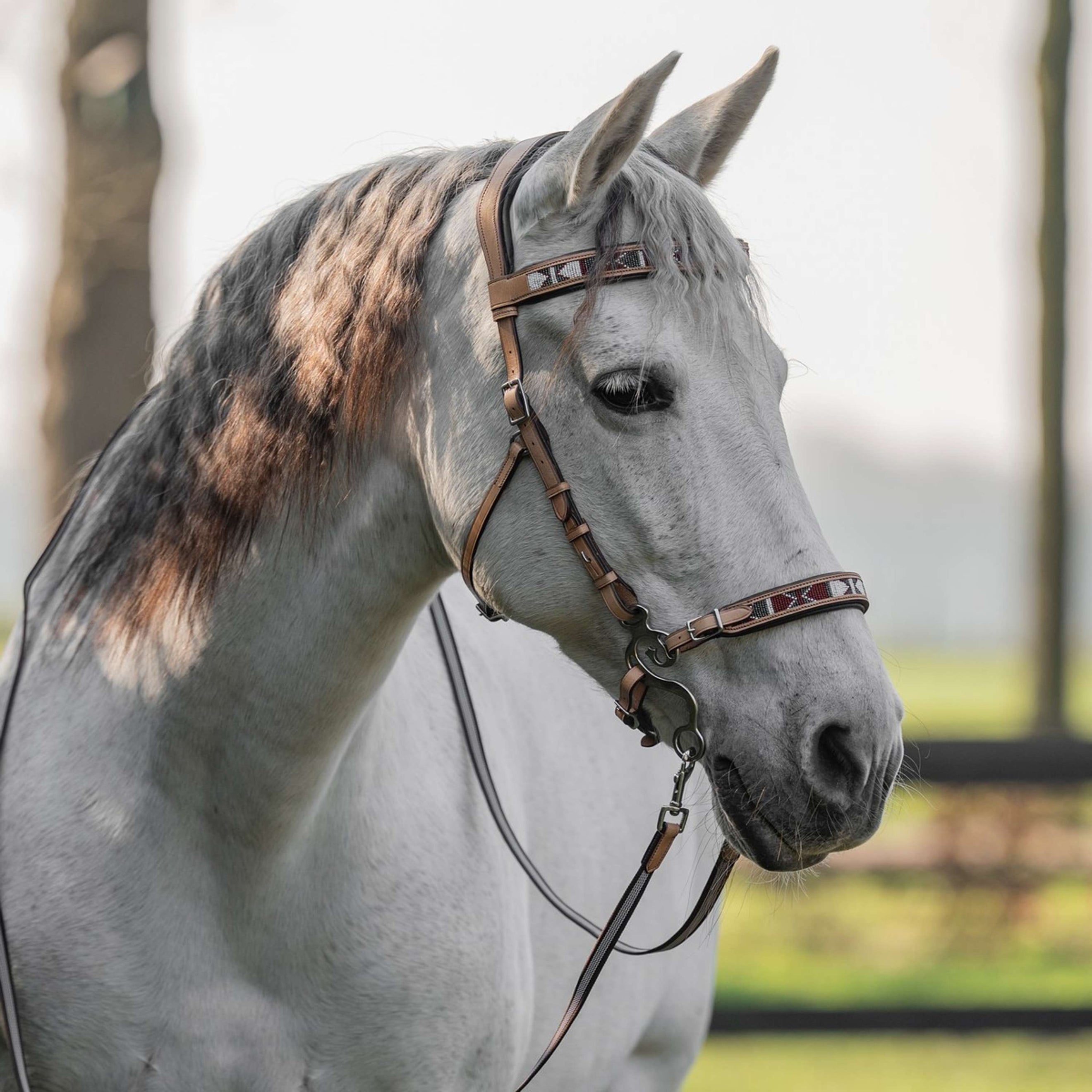 F.R.A. Bitless Bridle Esprit Nature