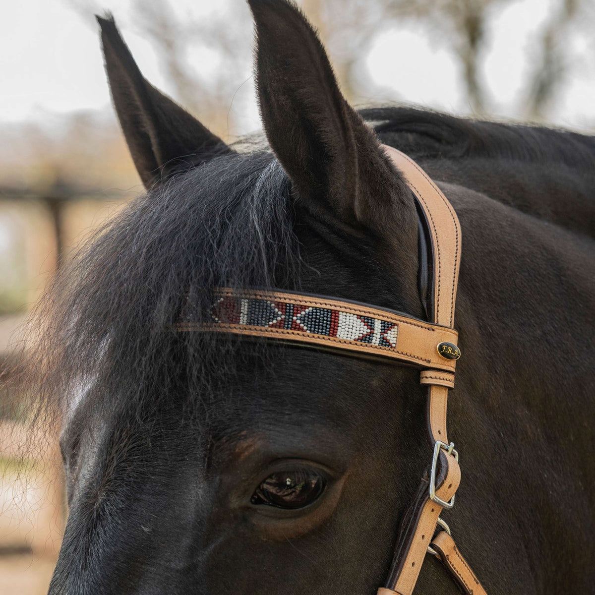 F.R.A. Bitless Bridle Esprit Nature