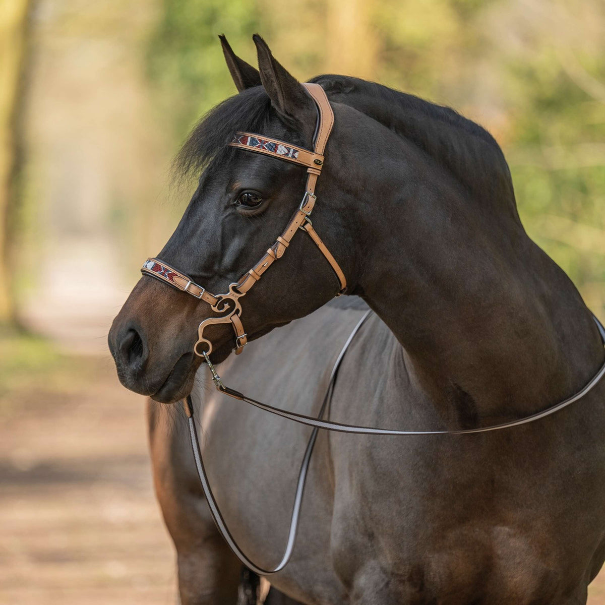 F.R.A. Bitless Bridle Esprit Nature