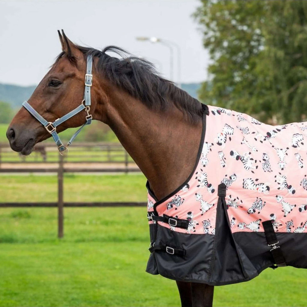 HB Outdoor Rug Mr Squeez 200g Peach
