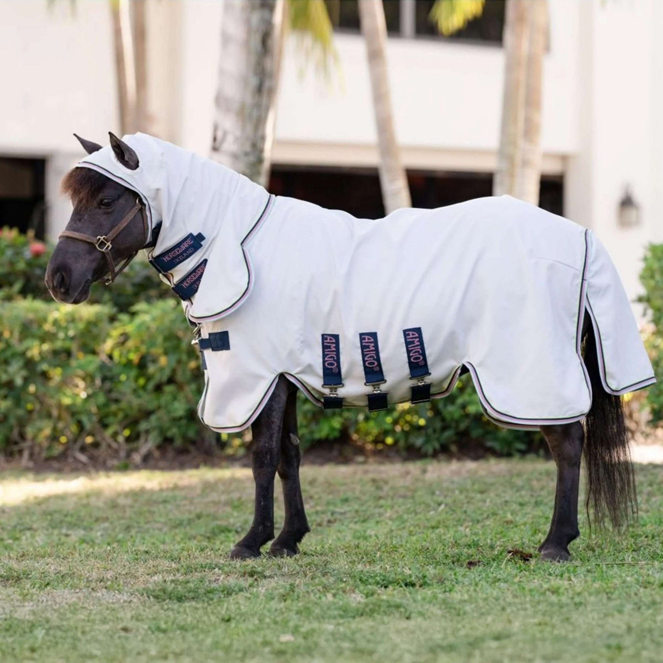 Amigo Ripstop Hoody Petite Silver/Lime/Navy/Pink/Blue