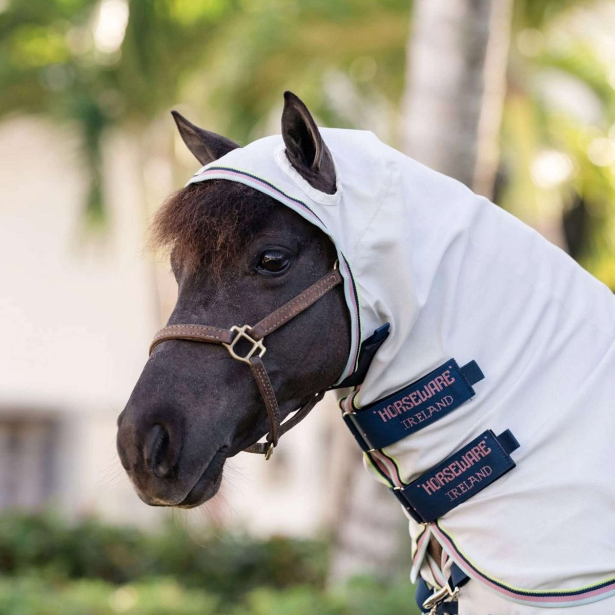 Amigo Ripstop Hoody Petite Silver/Lime/Navy/Pink/Blue