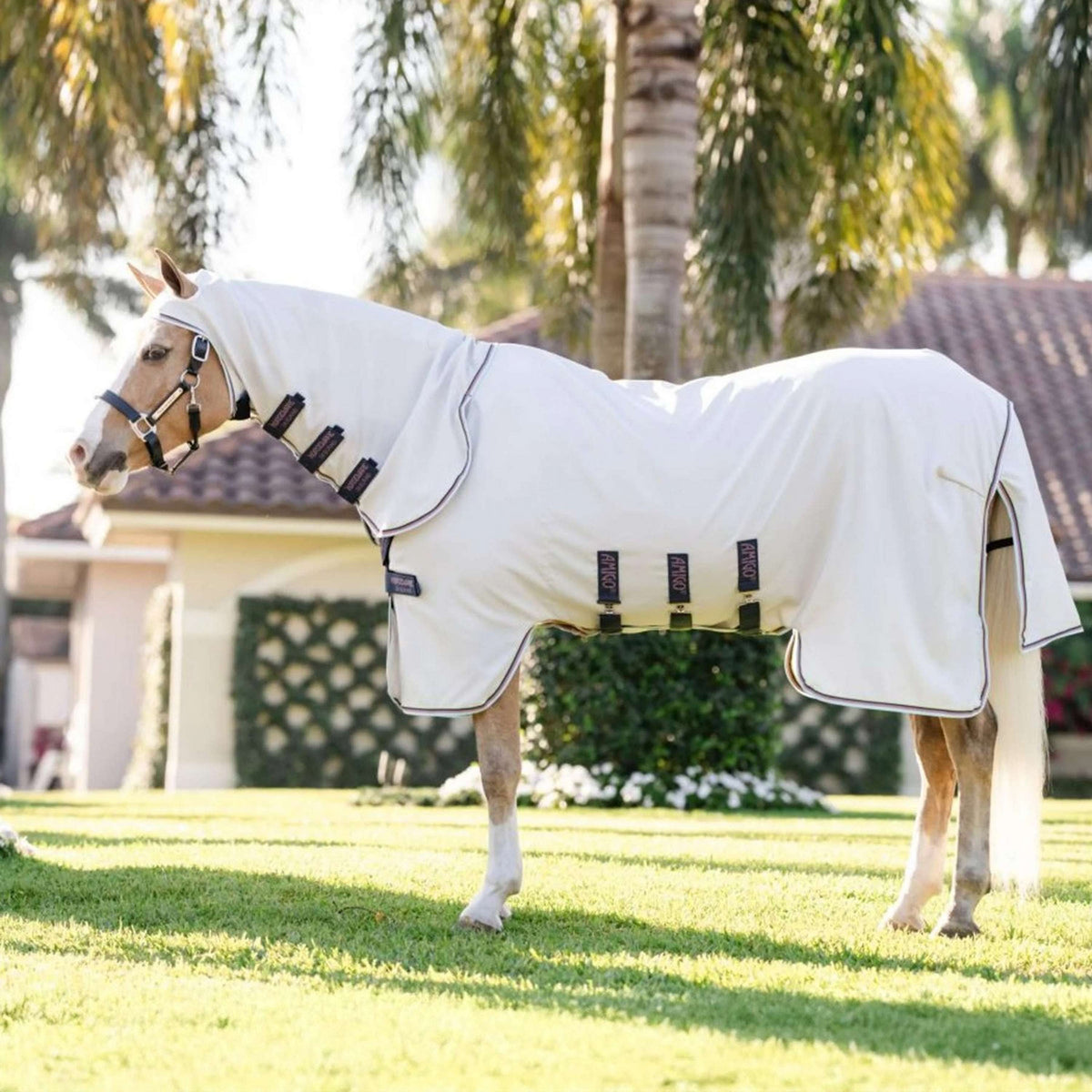 Amigo Ripstop Hoody Pony Silver/Lime/Navy/Pink/Blue