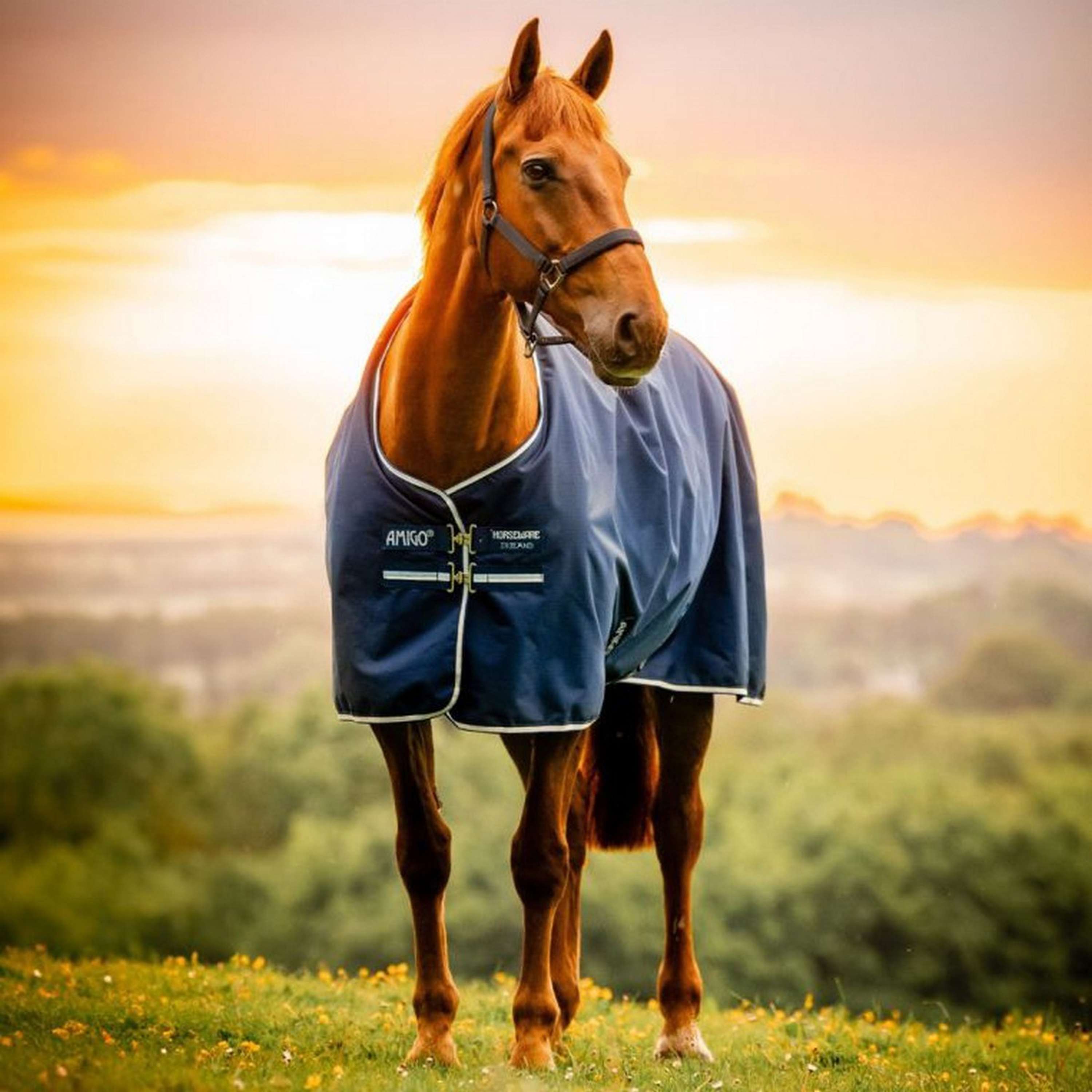 Amigo Ripstop 900D 100g Witney Navy