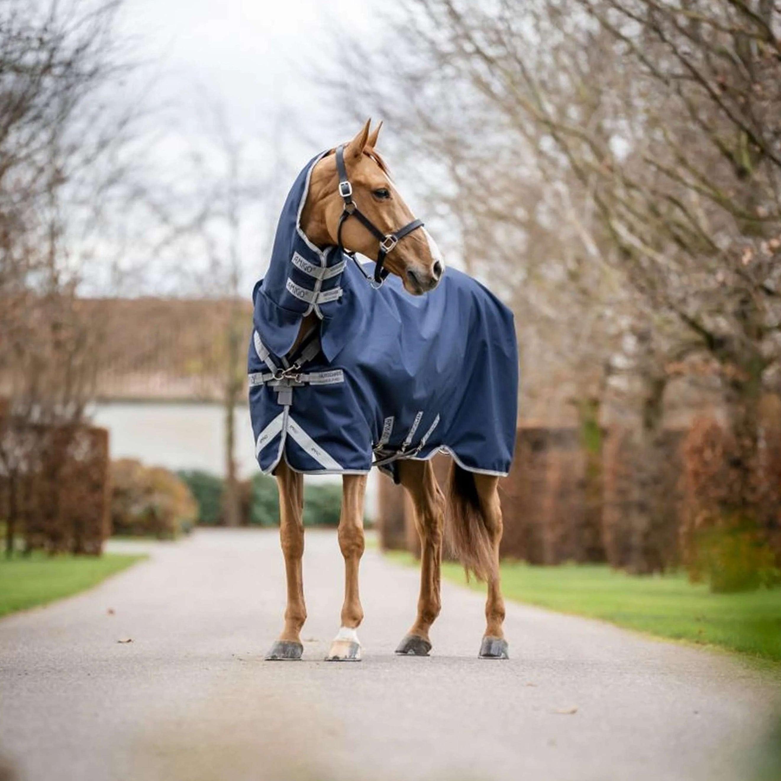 Amigo Turnout 1200D Integrated 50g Navy/Titanium Grey/Silver