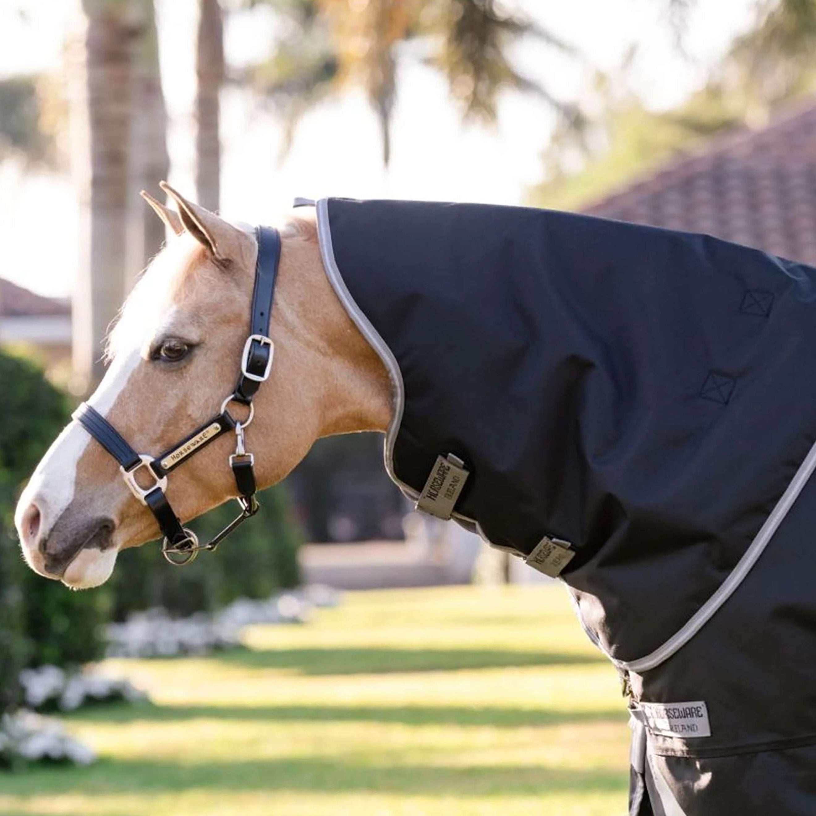 Amigo Turnout 1200D Plus Pony 50g Black/Titanium Grey/Silver