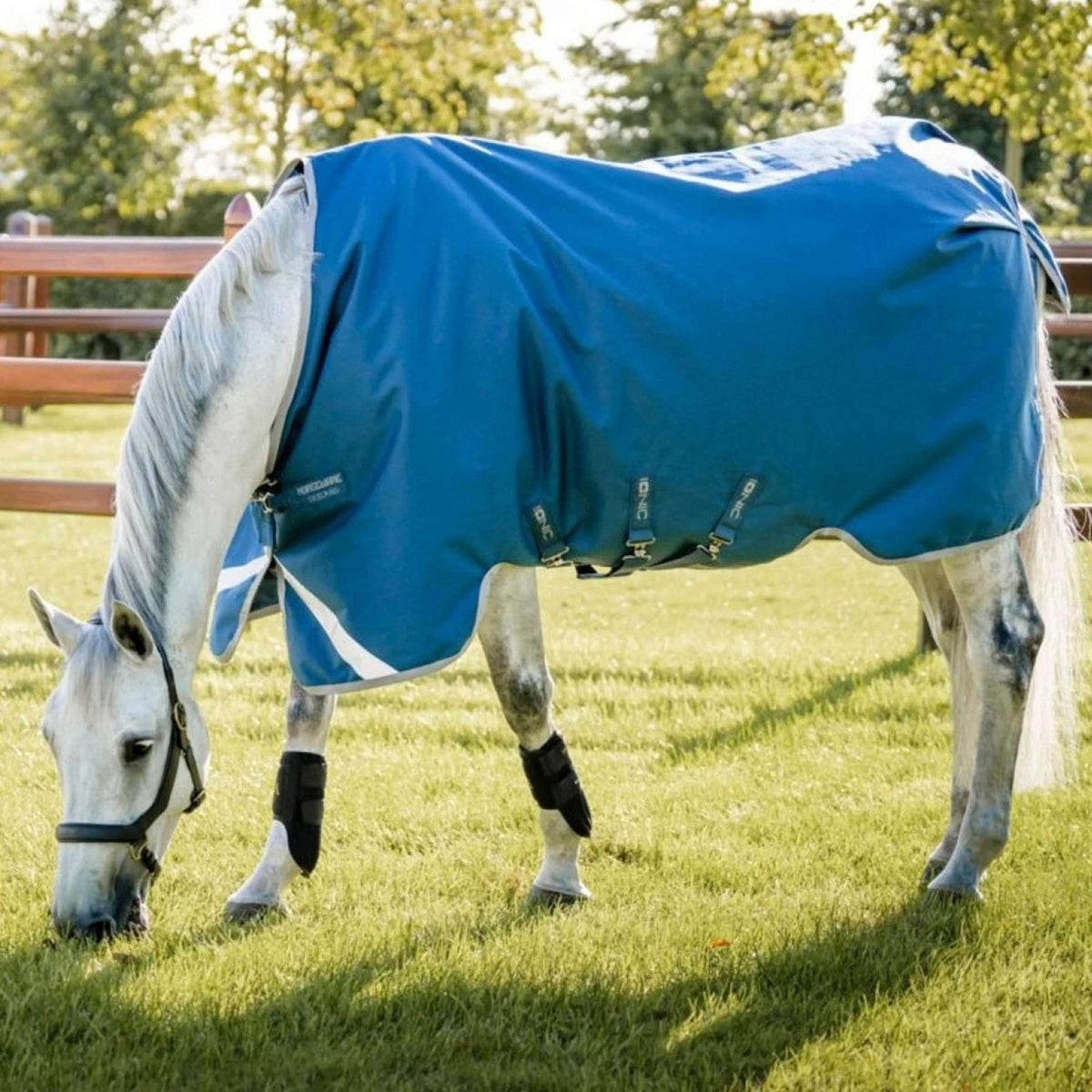 Horseware Therapy Turnout Ionic 100g Imperial Blue/Silver/Navy