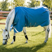 Horseware Therapy Turnout Ionic 100g Imperial Blue/Silver/Navy