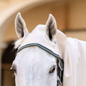 Rambo Hoody Pony Chalk/Hunter Green/Silver