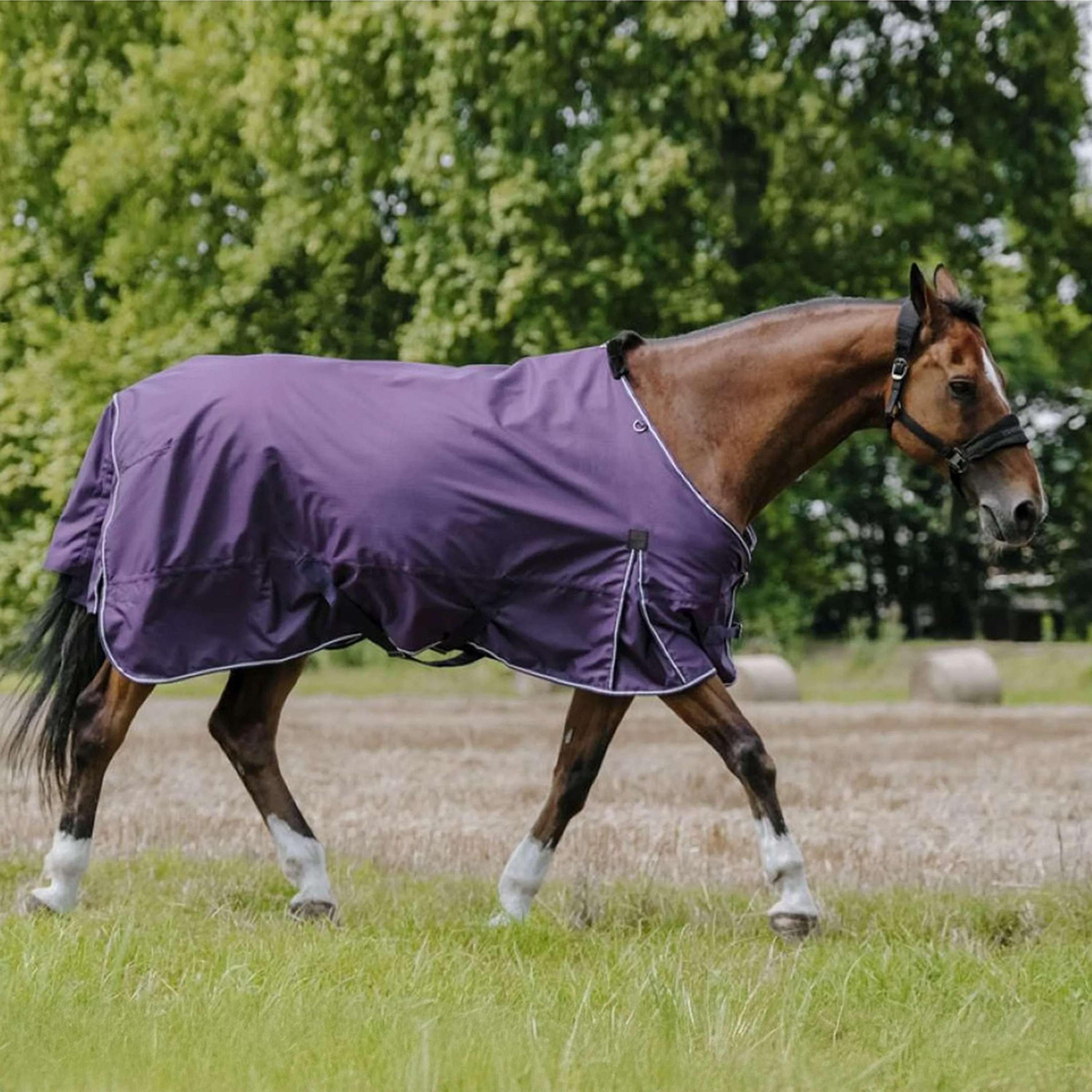 EQUITHÈME Outdoor Rug Tyrex Aisance 600D 300g