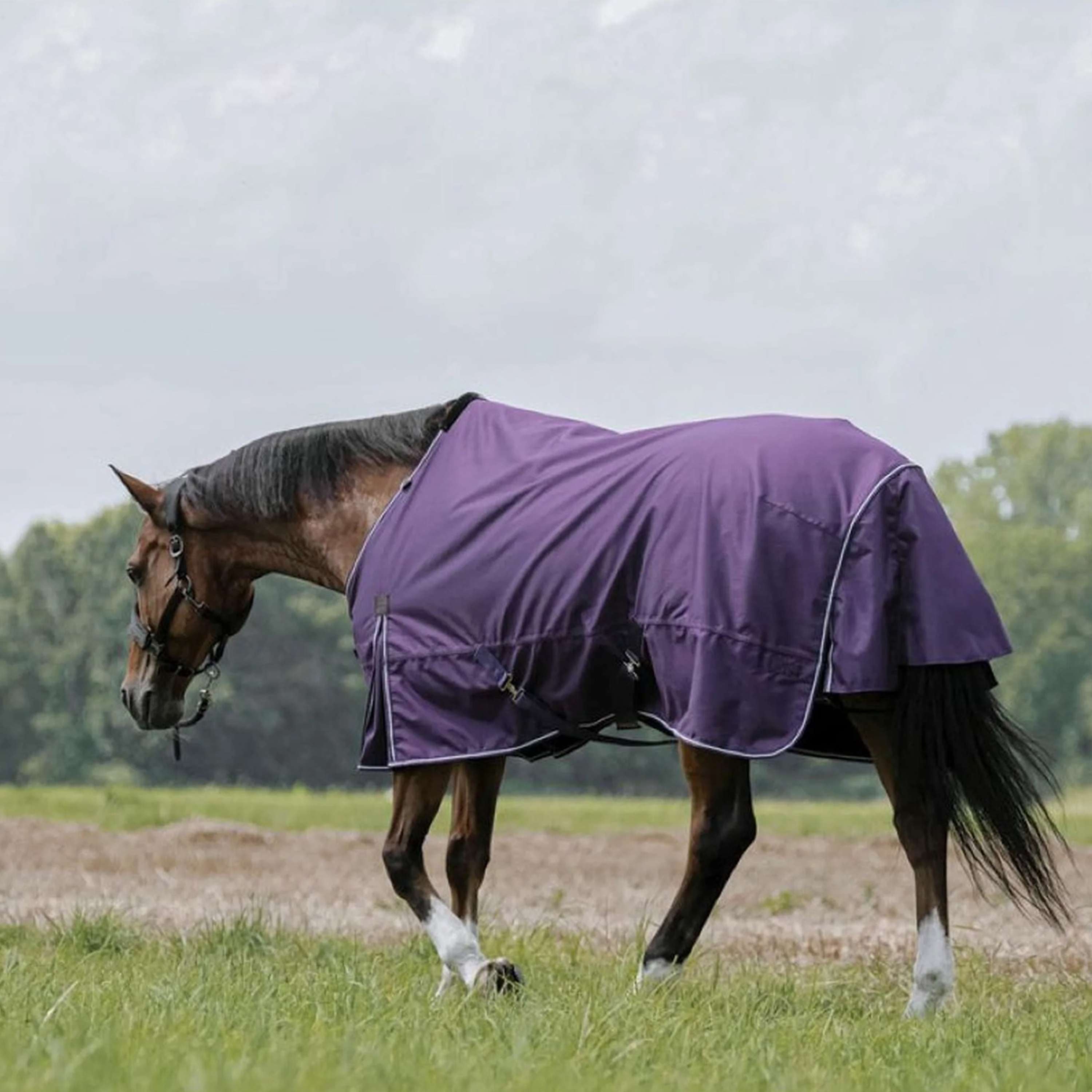 EQUITHÈME Outdoor Rug Tyrex Aisance 600D 300g
