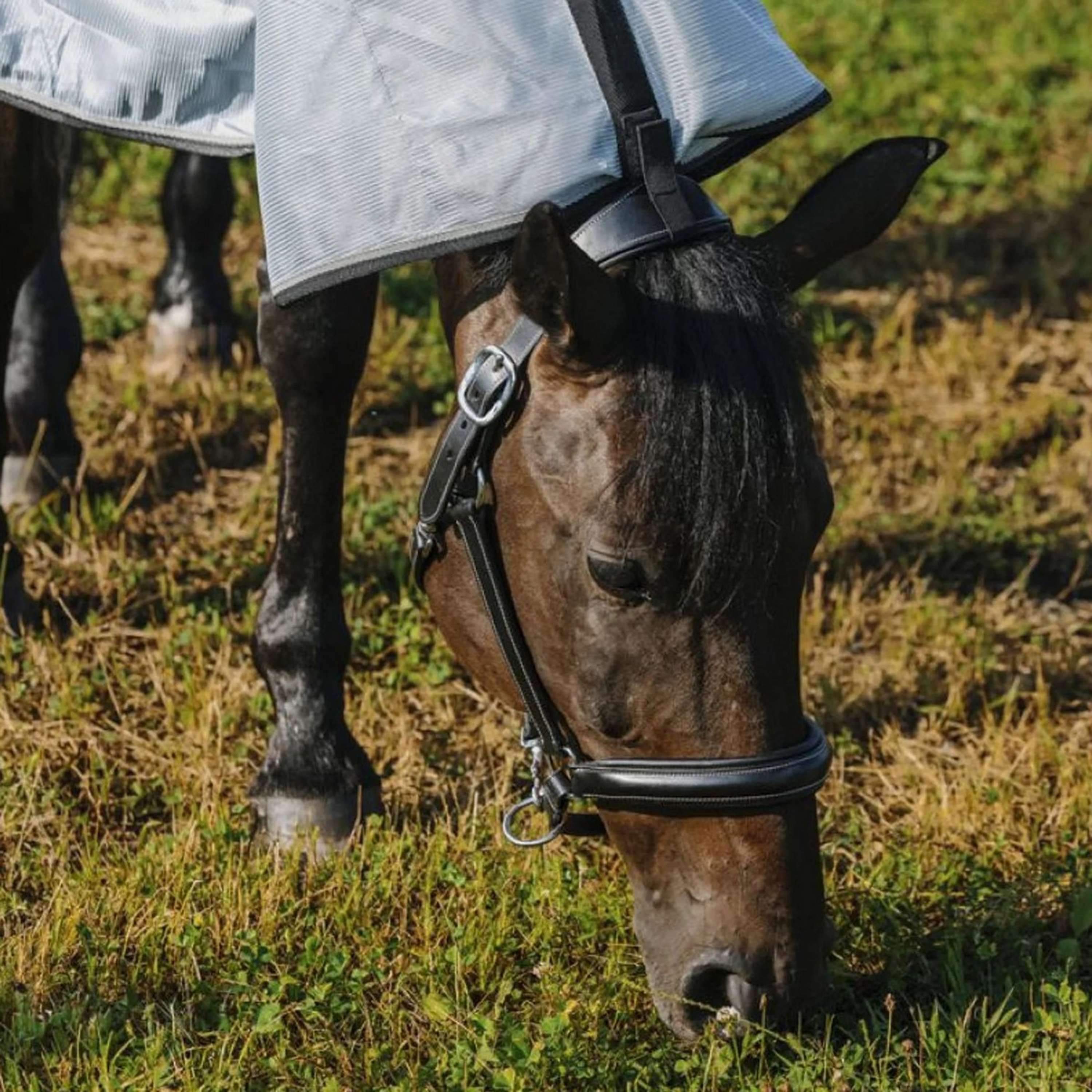 Riding World Fly Rug Belly Mesh Combo Grey
