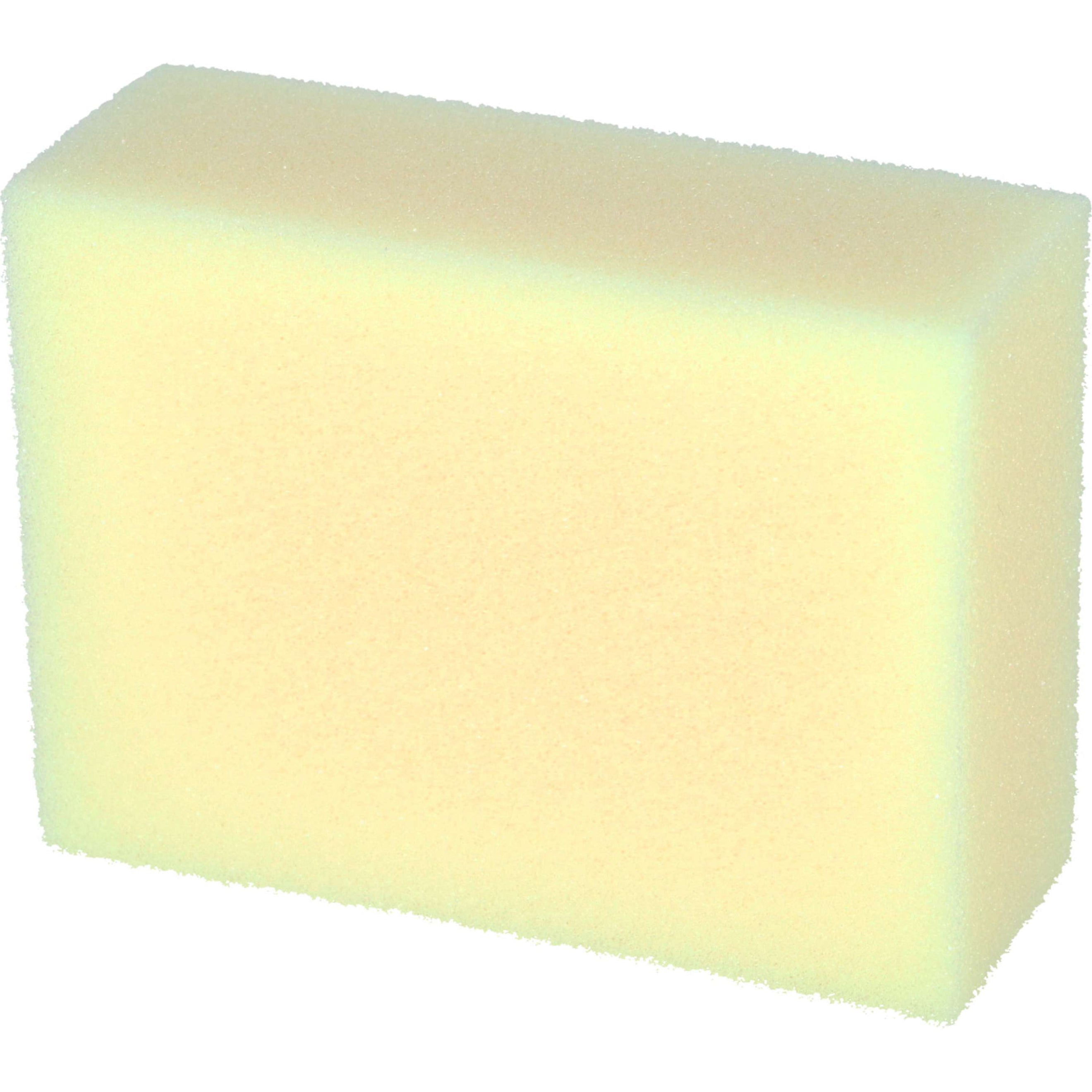Carr & Day & Martin Sponge Carr & Day & Martin Sponge