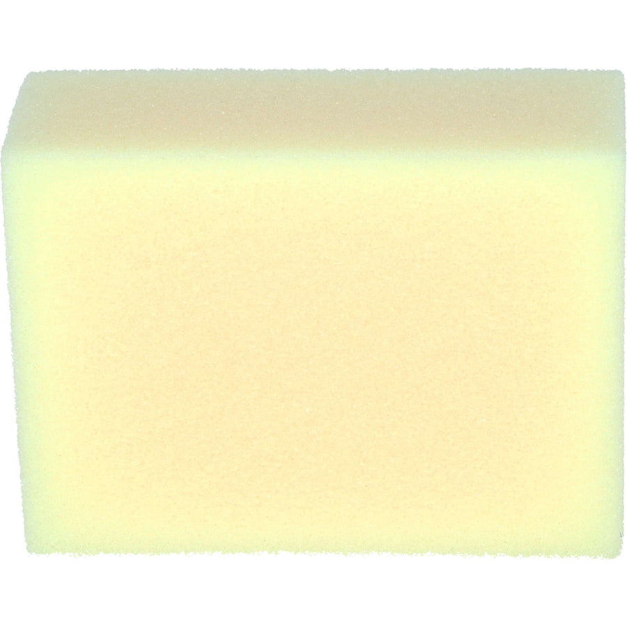 Carr & Day & Martin Tack Cleaning Sponge