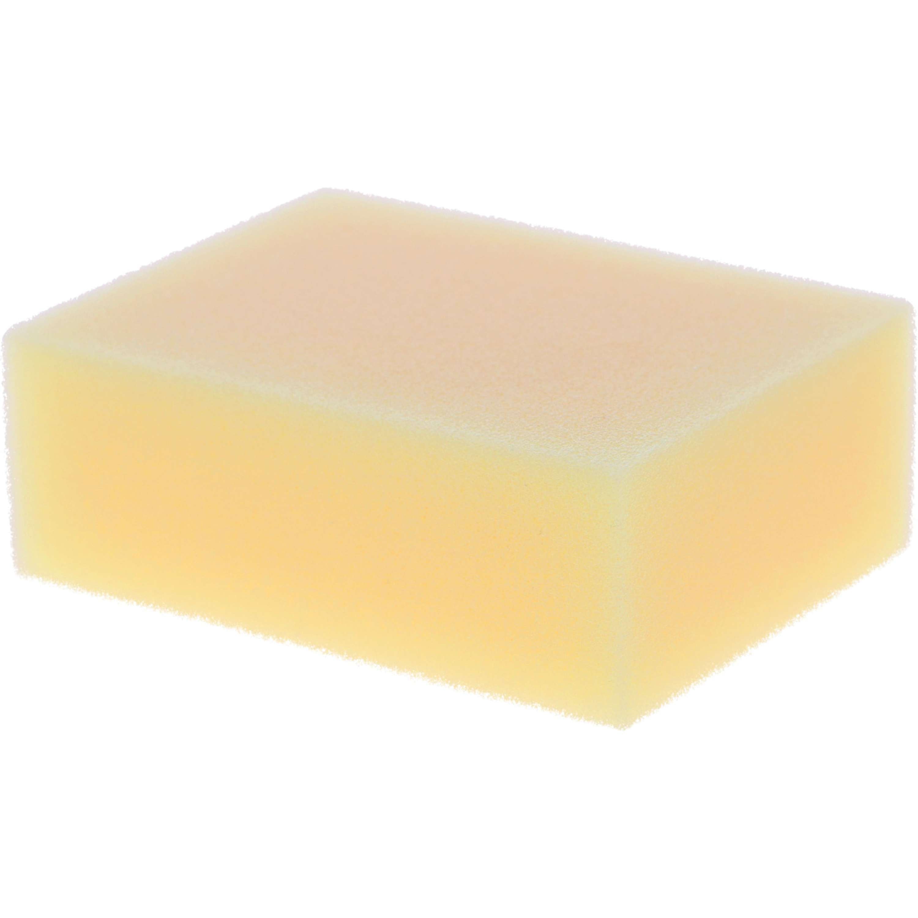 Carr & Day & Martin Tack Cleaning Sponge