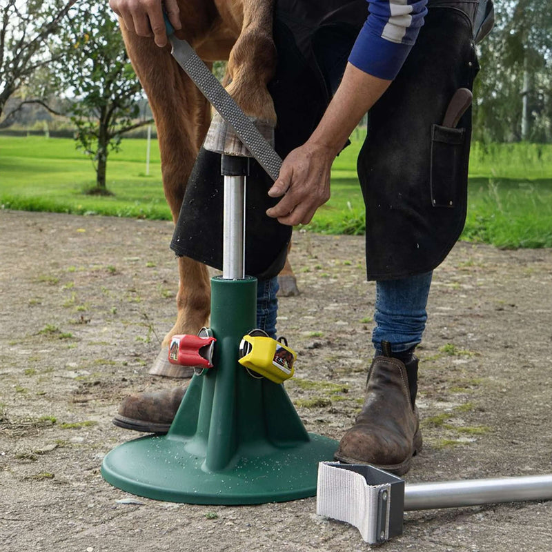 F.R.A. Hoofjack Green