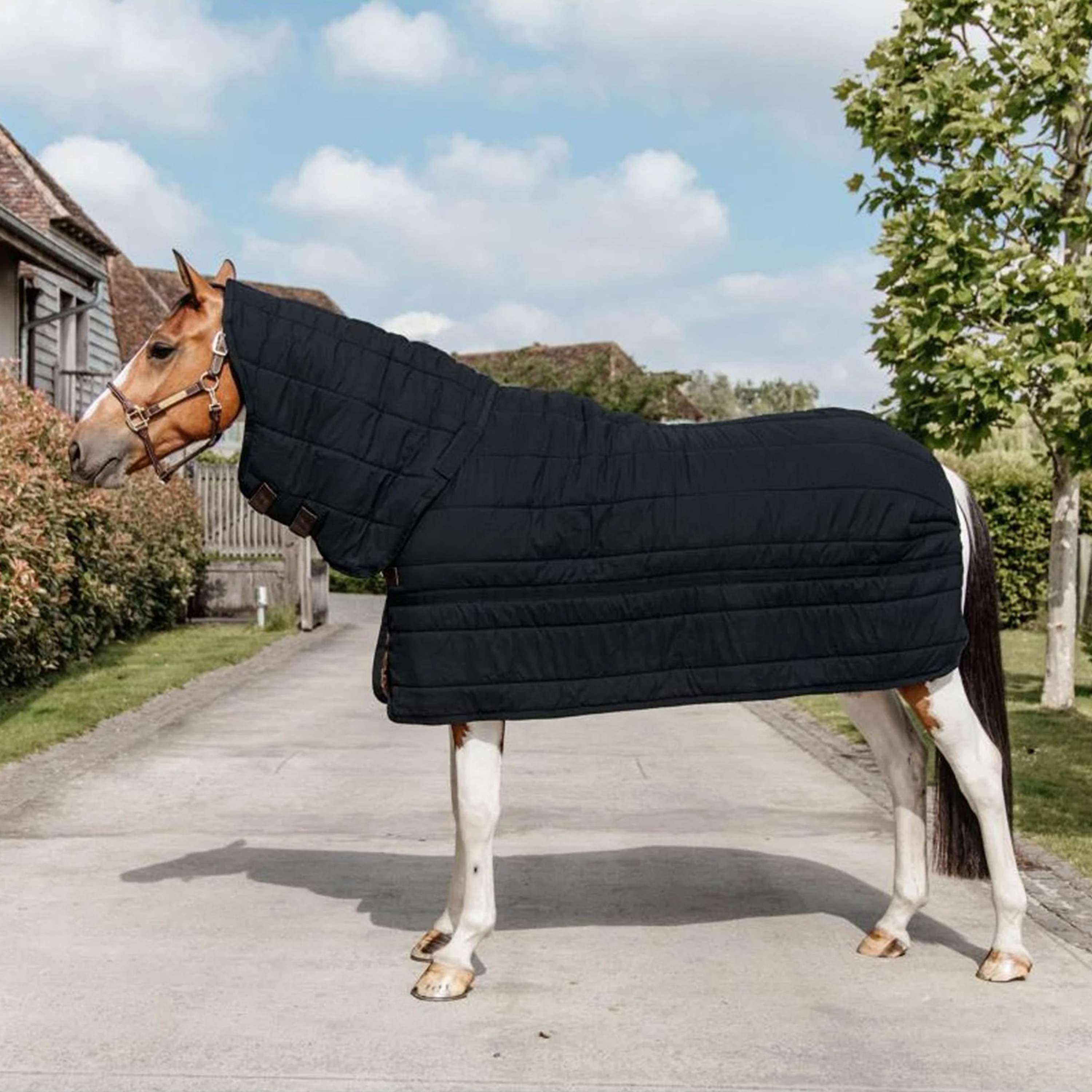 Kentucky Under Rug Skin Friendly Neck 150g Black