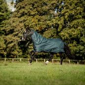 Amigo Ripstop 900D Plus Pony 50g Dynasty Green/Navy/Silver