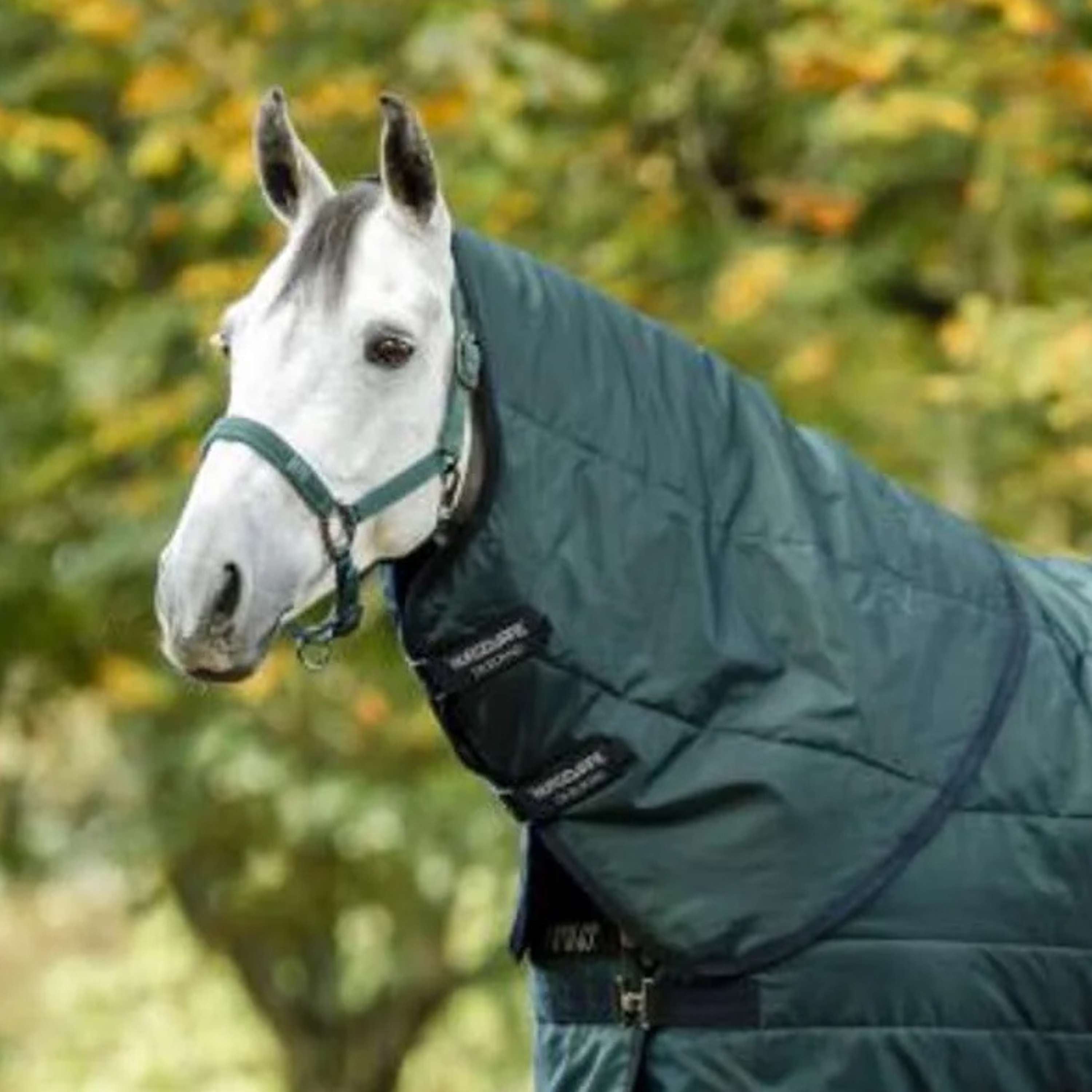 Amigo Neck Cover Ripstip Insulator Stable 100g Dynasty Green/Navy/Silver