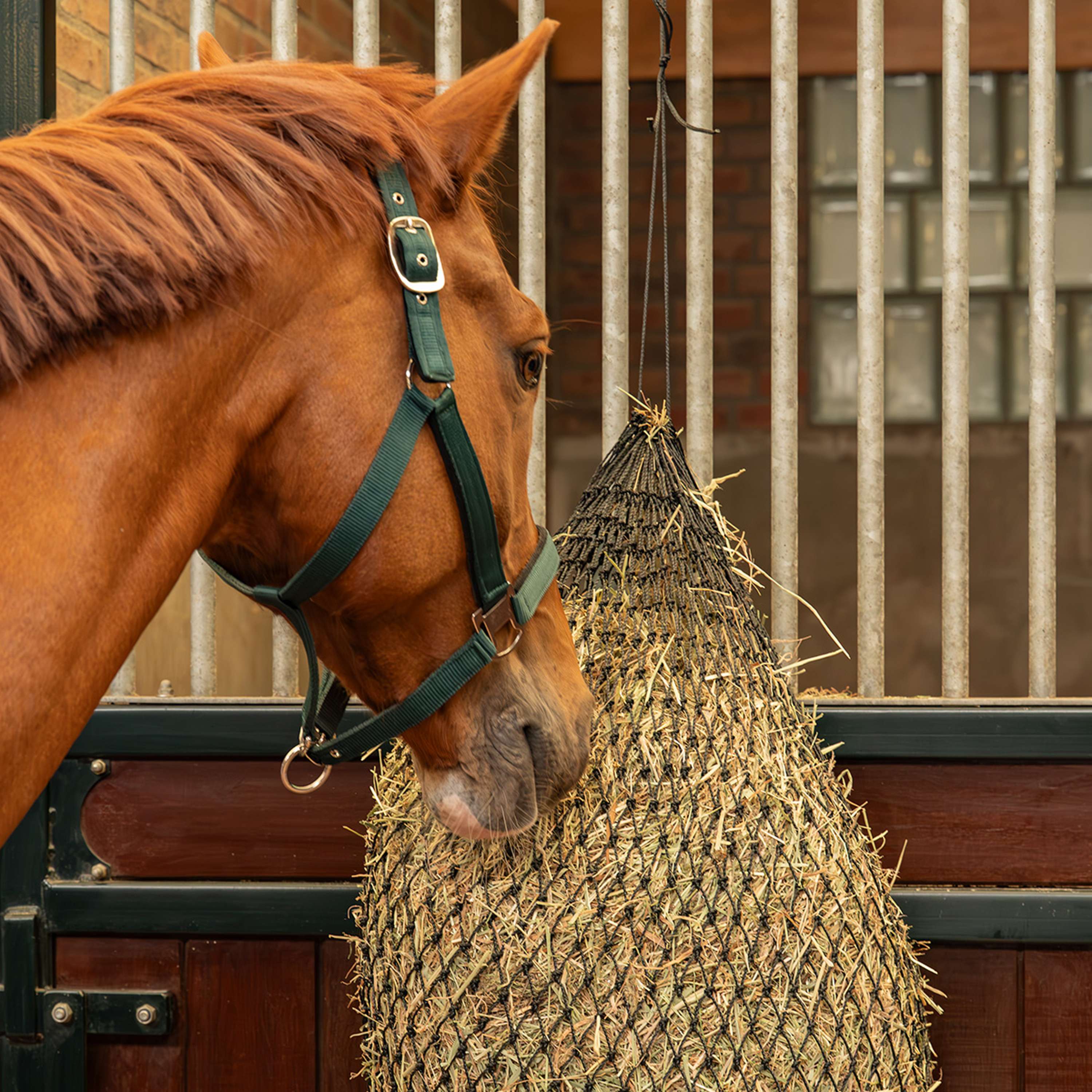Agradi Horse Hay Net Greedy Mesh 2,5x2,5cm Black