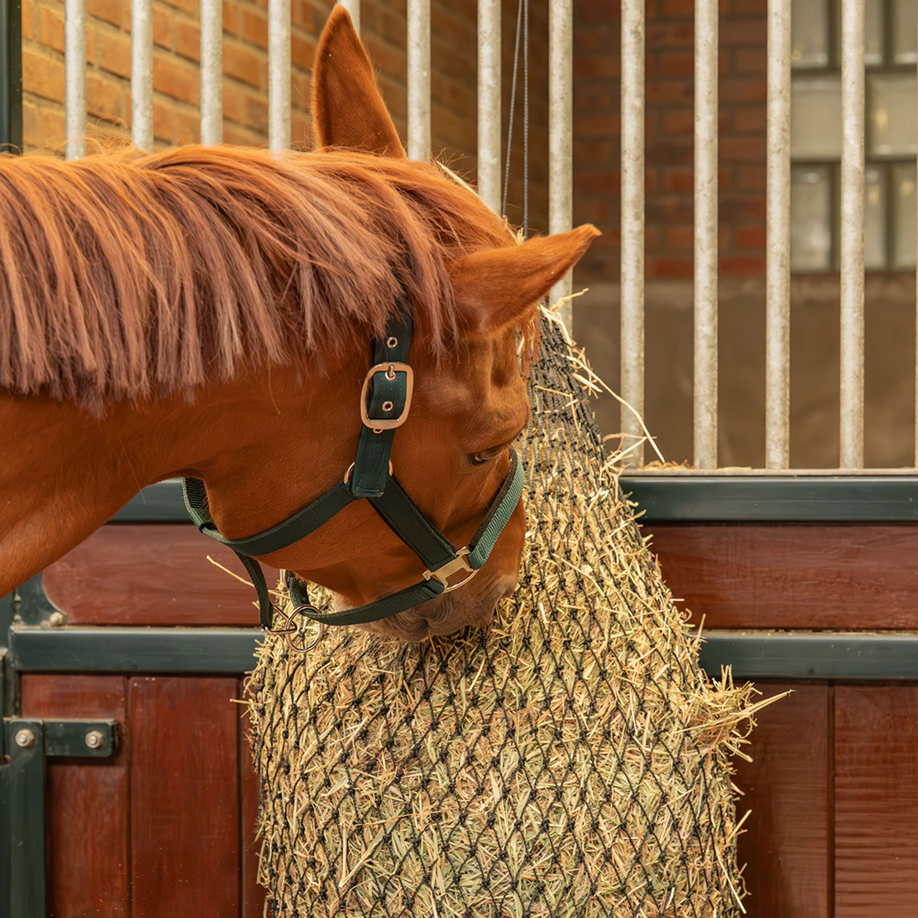 Agradi Horse Hay Net Greedy Mesh 2,5x2,5cm Black