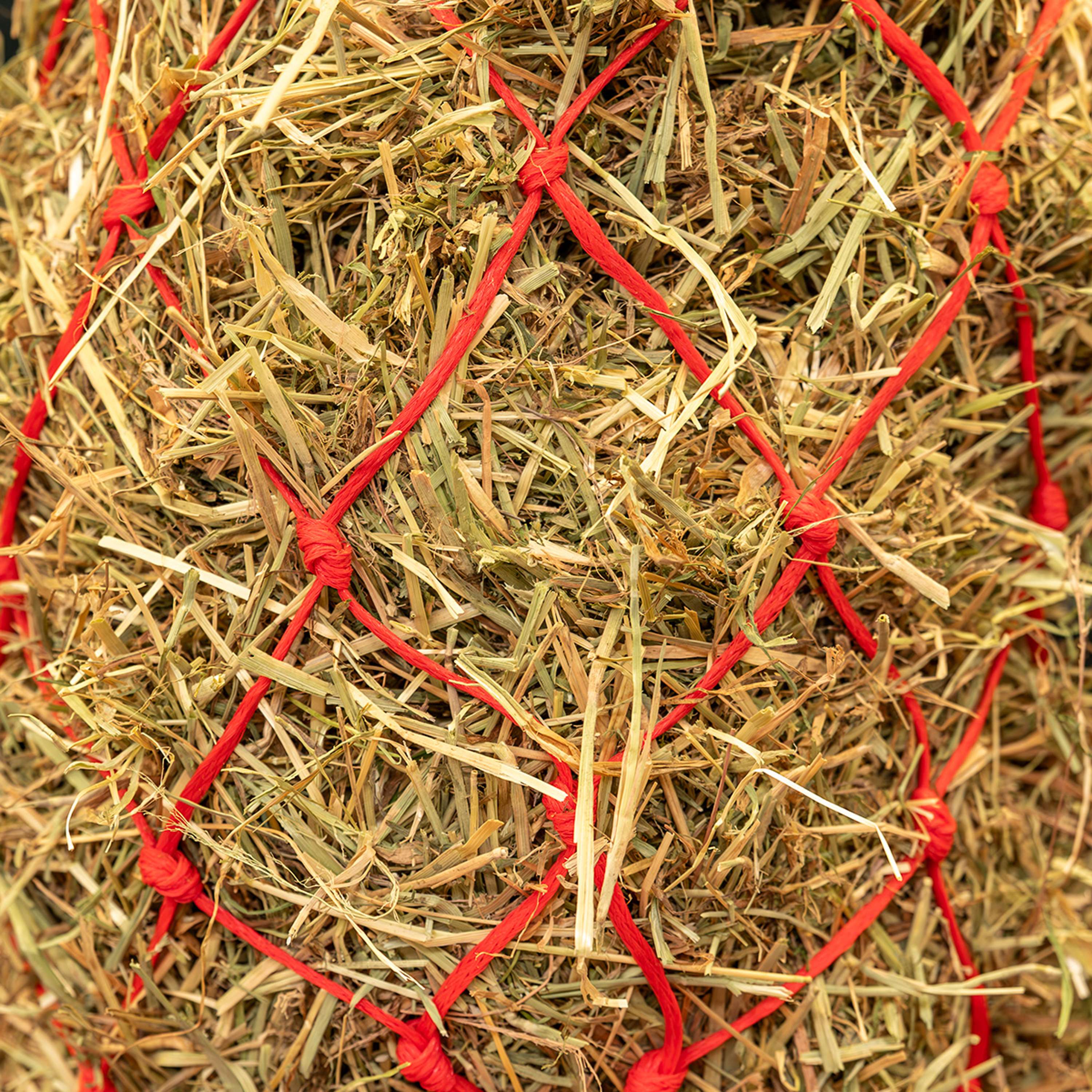 Agradi Horse Hay Net Standaard Coarse Mesh 8x8cm Red