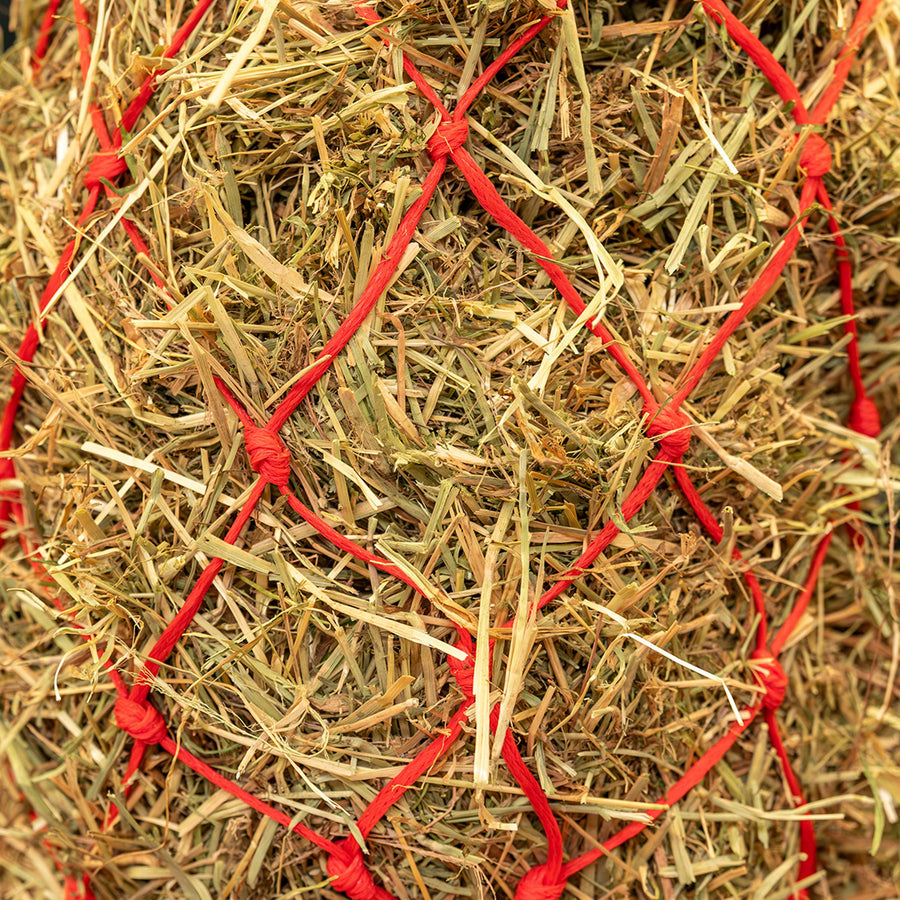 Agradi Horse Hay Net Standaard Coarse Mesh 8x8cm Red