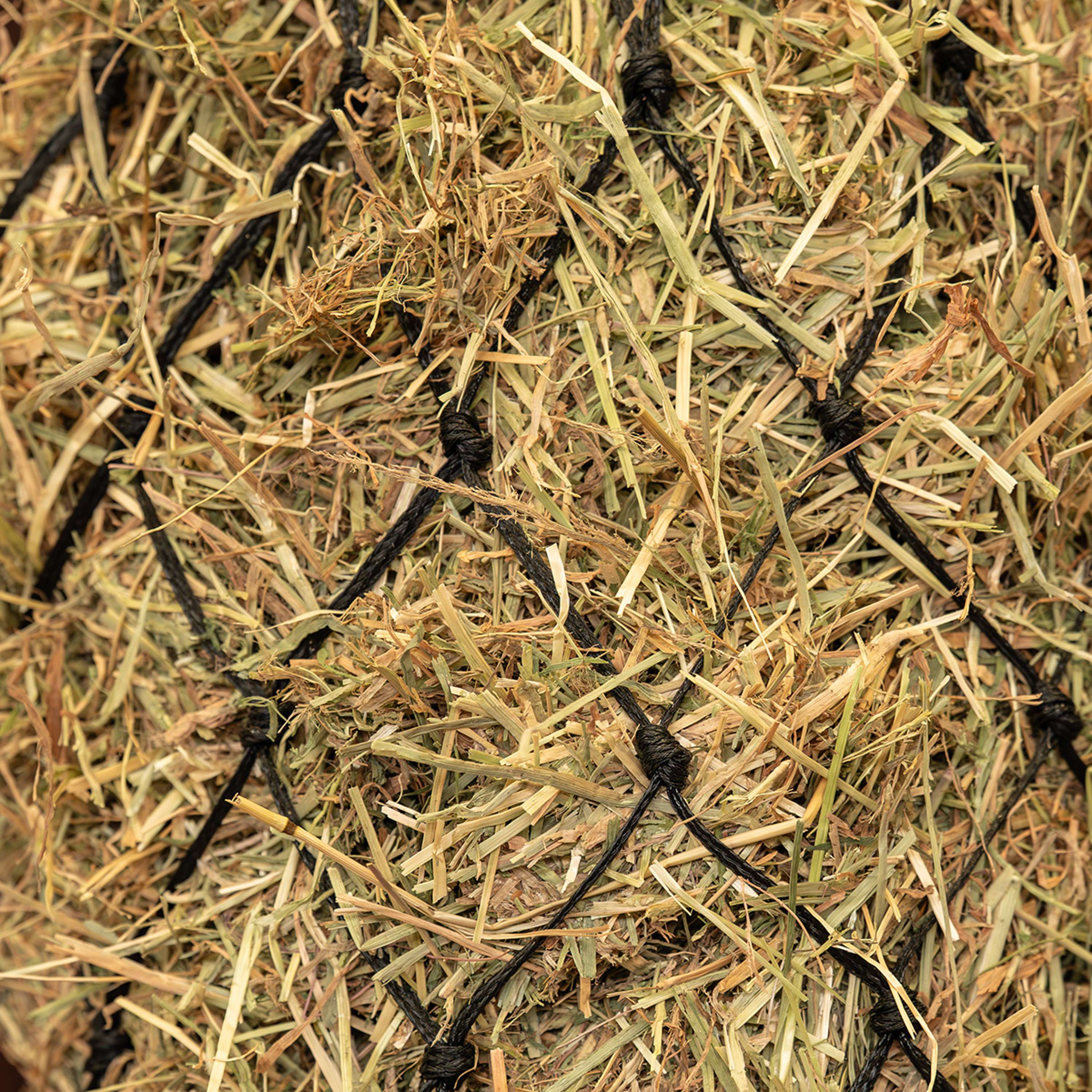 Agradi Horse Hay Net Standaard Coarse Mesh 8x8cm Black