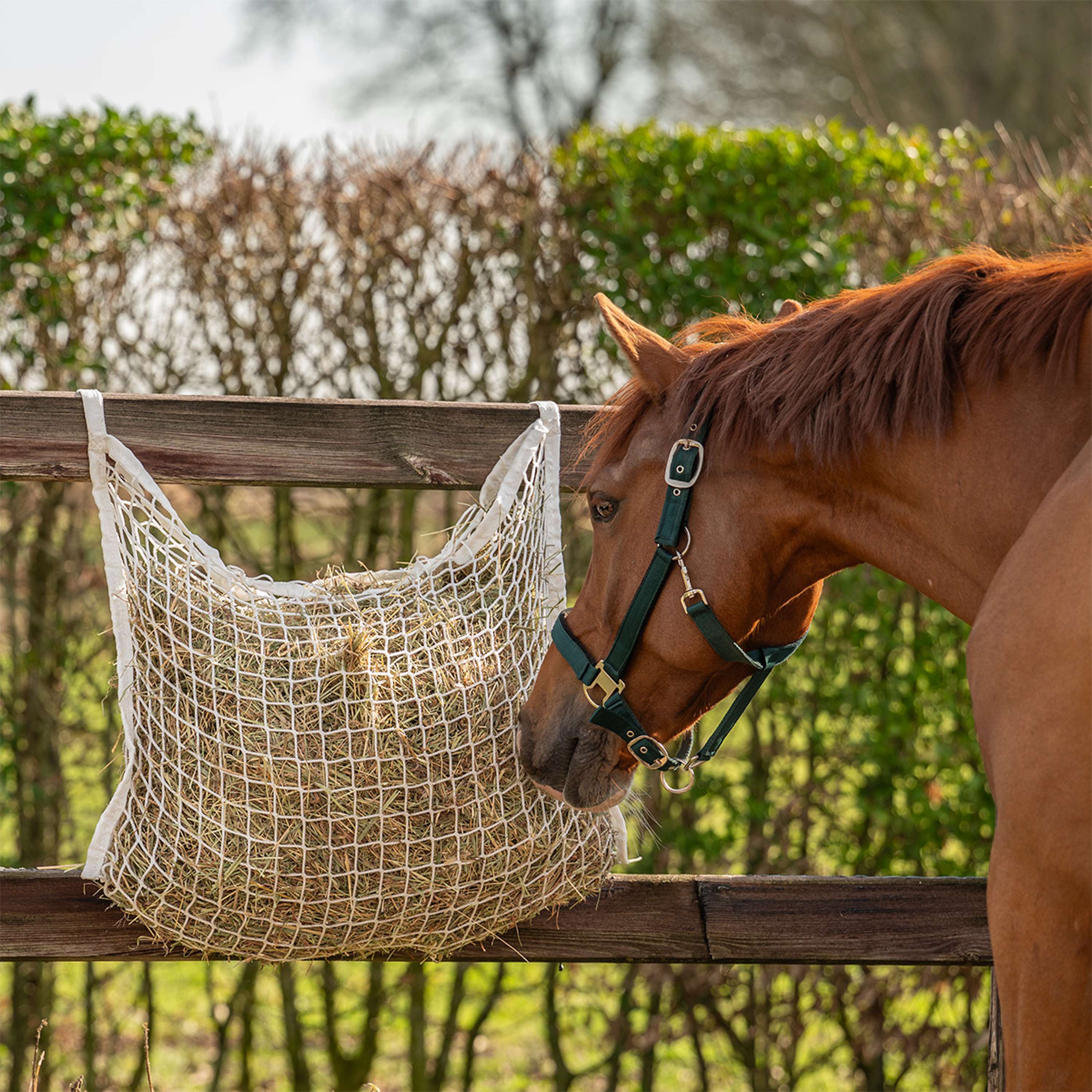 Agradi Horse Hay Net Mesh 3x3cm White