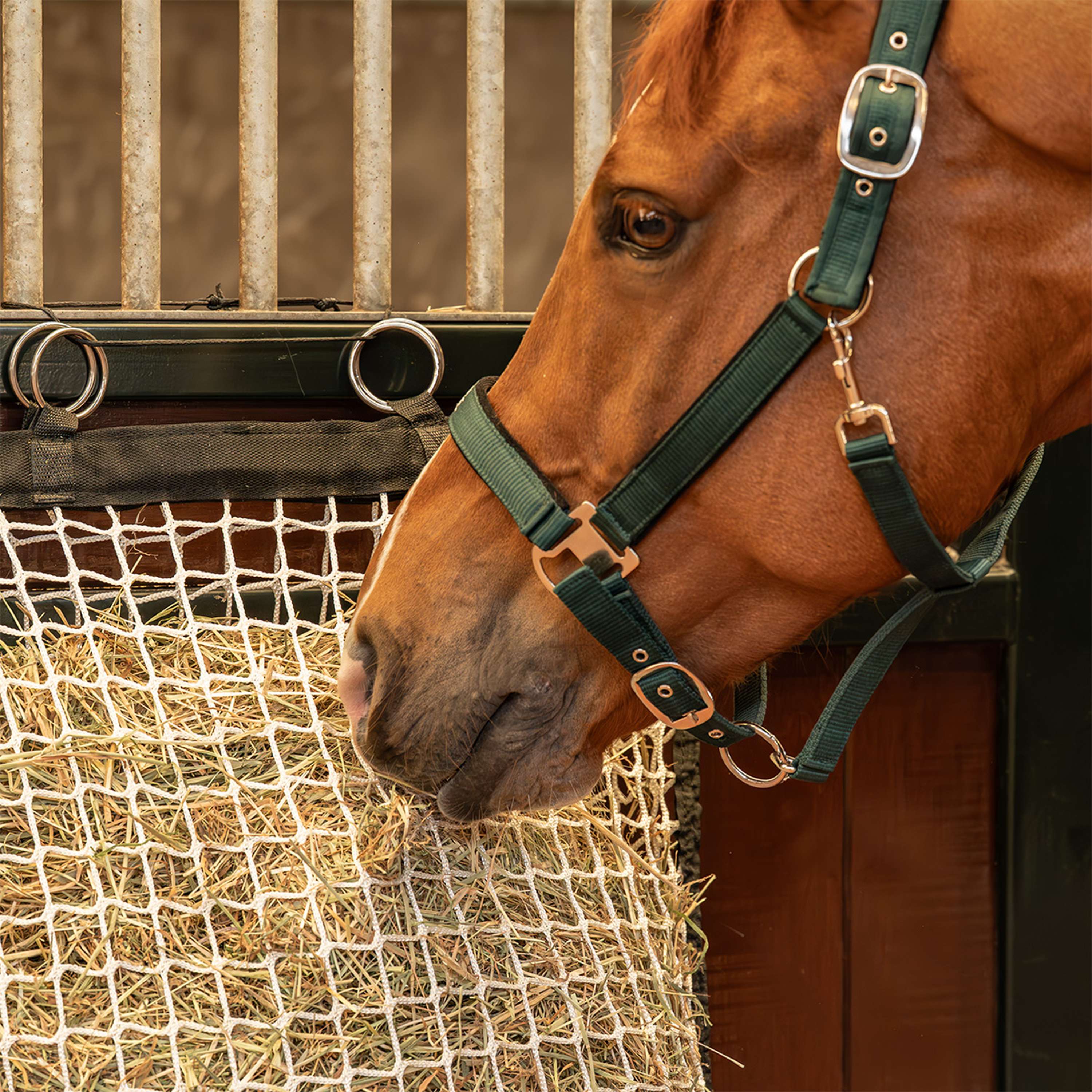 Agradi Horse Hay Net with Filling aid Mesh 3x3cm White