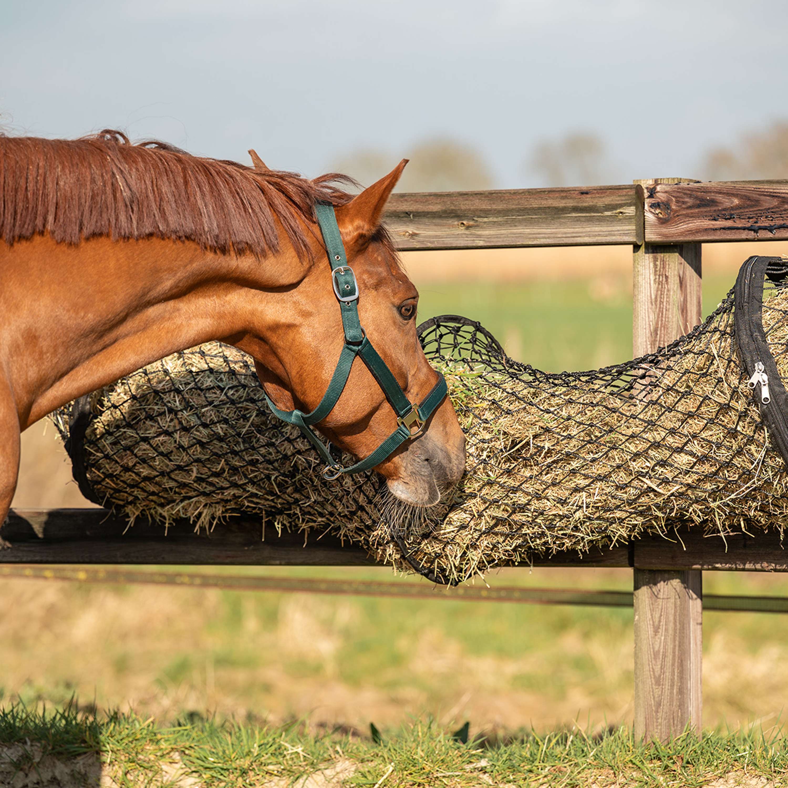 Agradi Horse Hay Net Tunnel Shape Maas 5x5cm Black