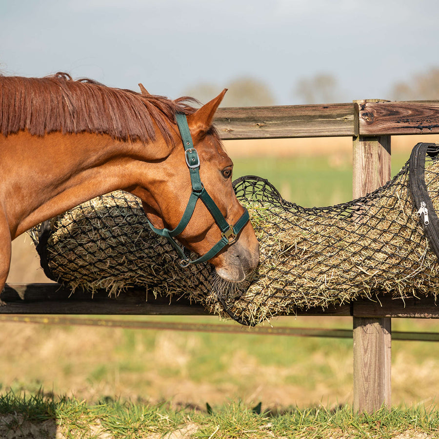 Agradi Horse Hay Net Tunnel Shape Maas 5x5cm Black