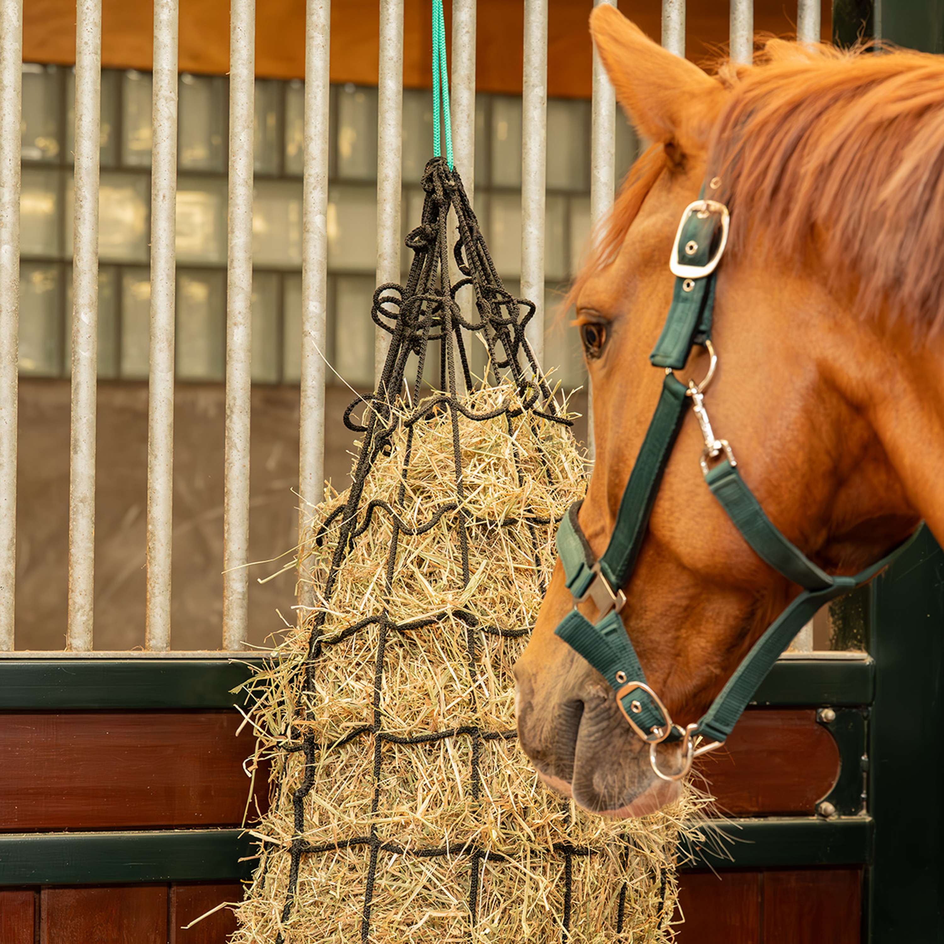 Agradi Horse Hay Net Heavy Duty Mesh 10x10cm Black