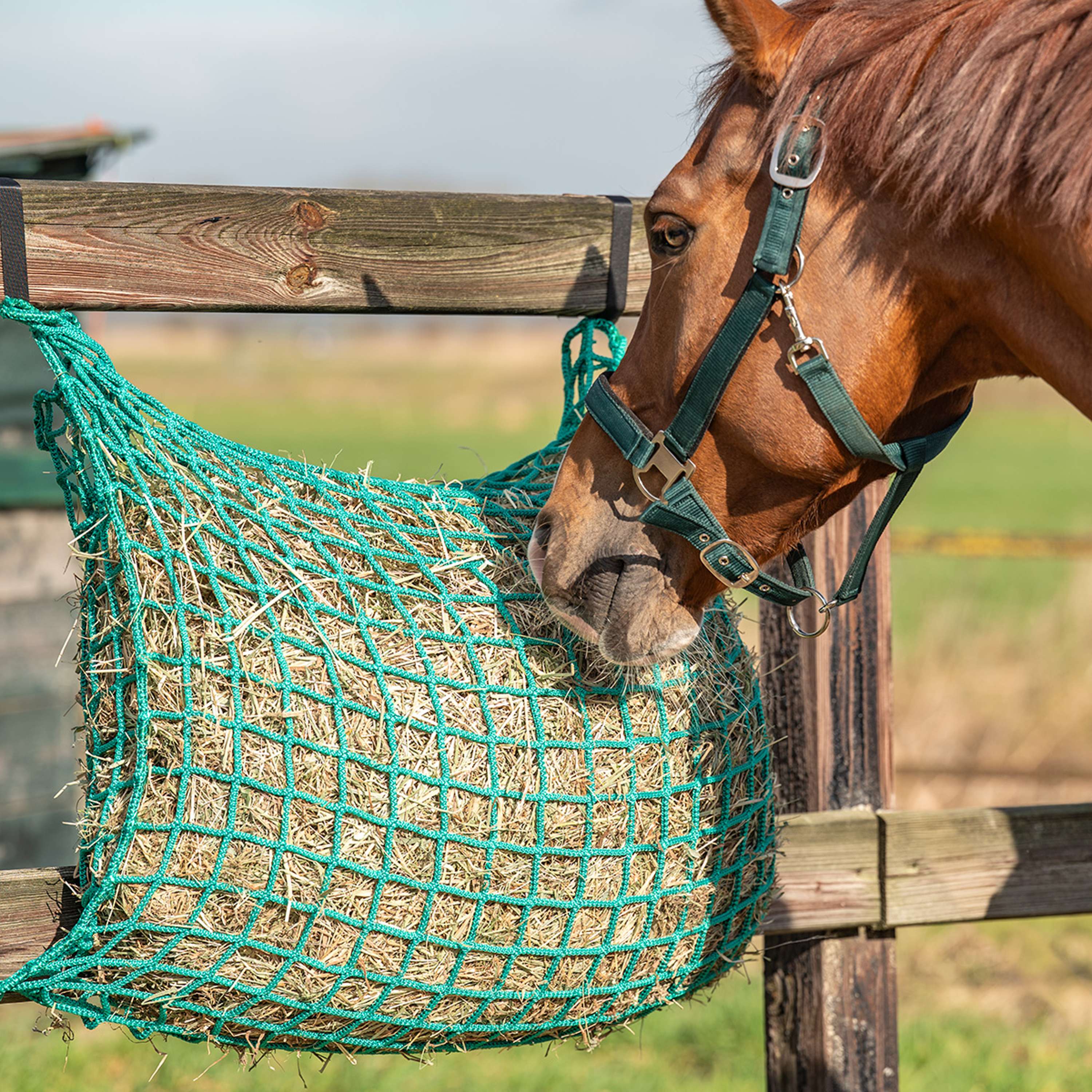 Agradi Horse Hay Net Flexi Strong Mesh 4,5x4,5cm Green