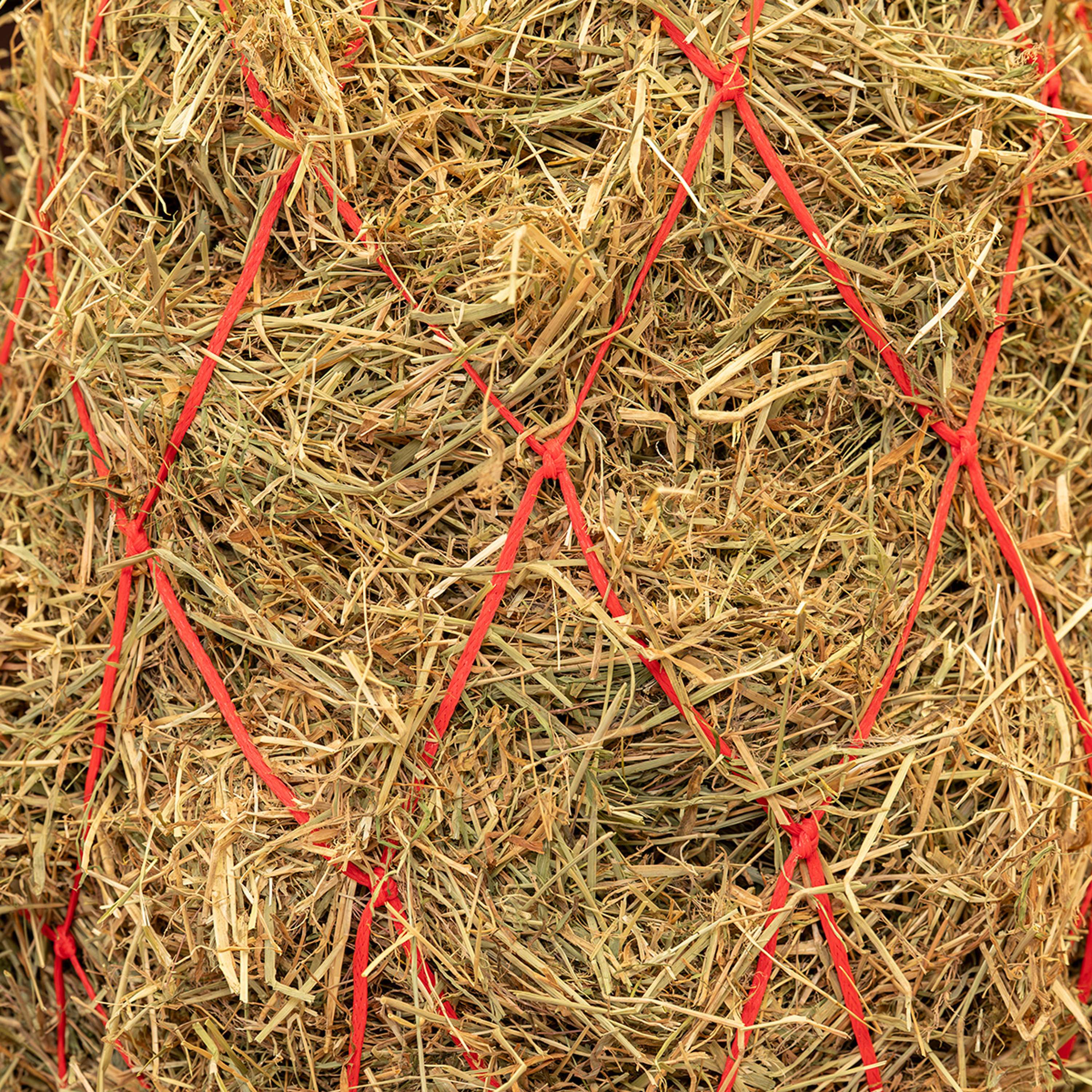 Agradi Horse Hay Net Mesh 15x15cm Red