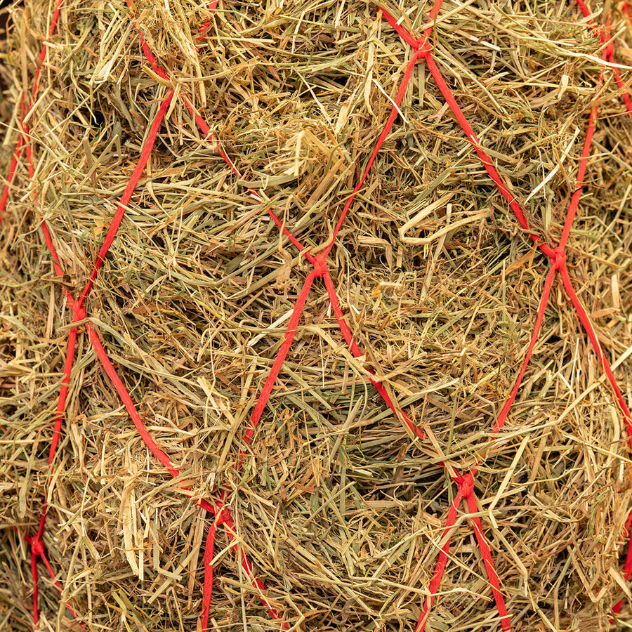 Agradi Horse Hay Net Mesh 15x15cm Red