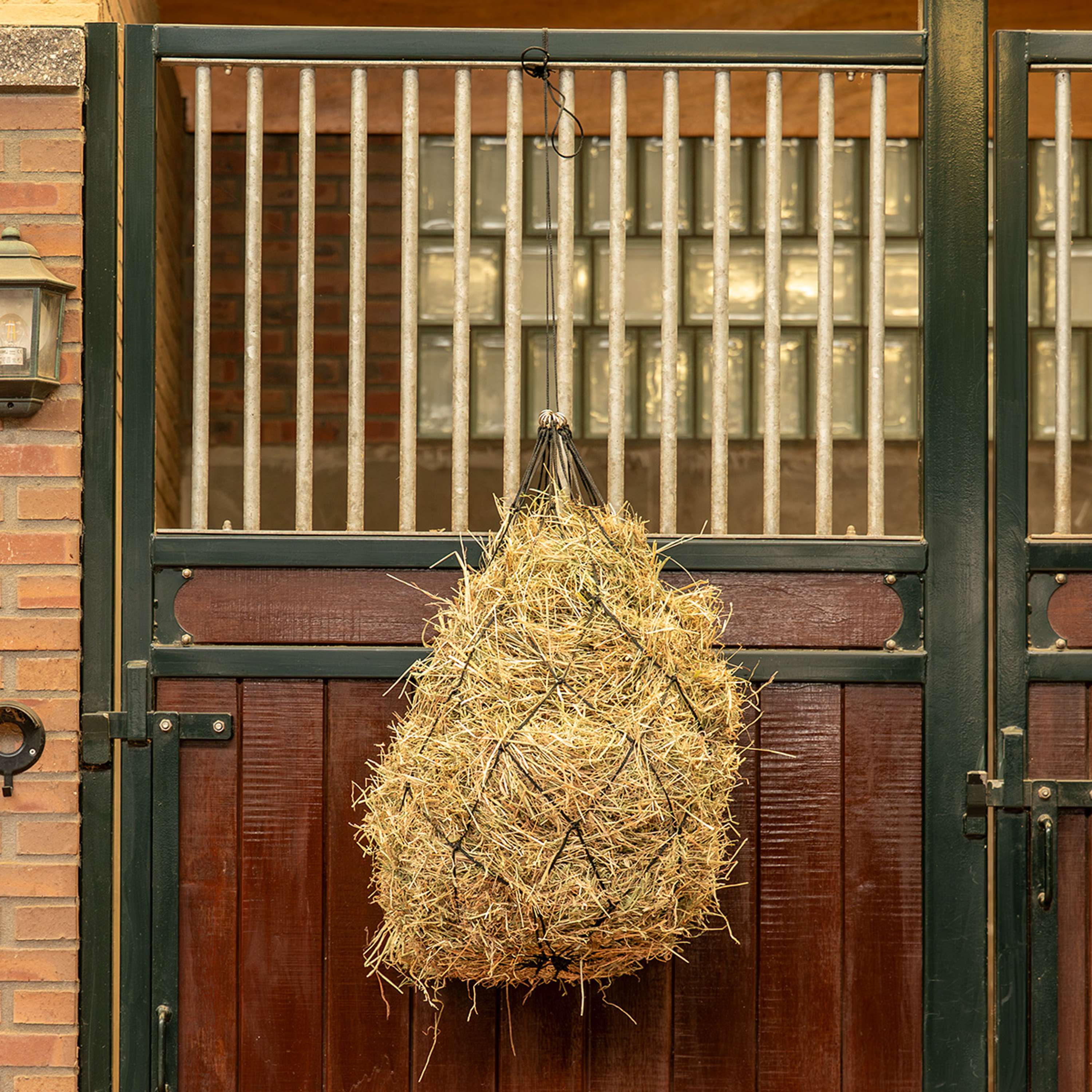 Agradi Horse Hay Net Mesh 15x15cm Black