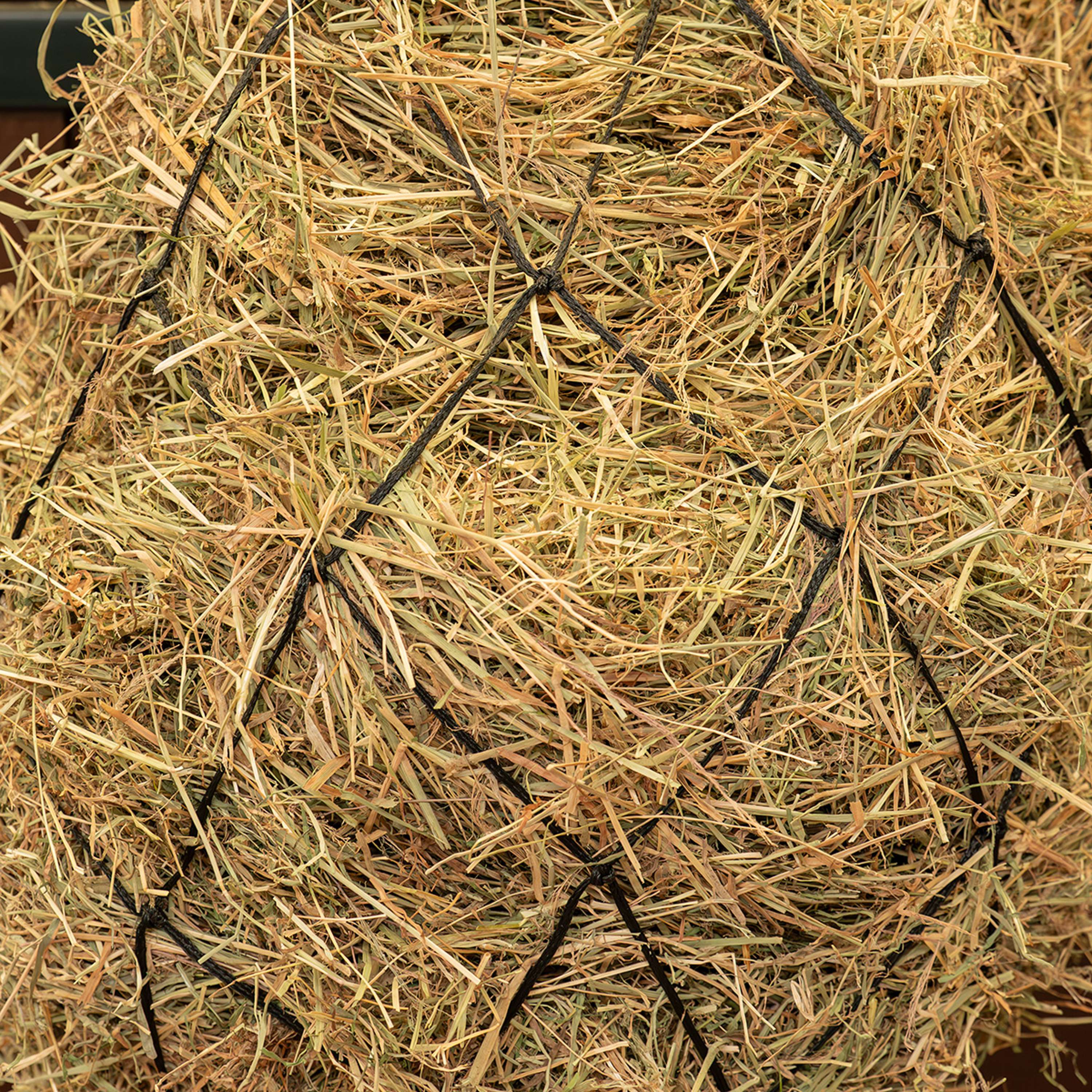 Agradi Horse Hay Net Mesh 15x15cm Black