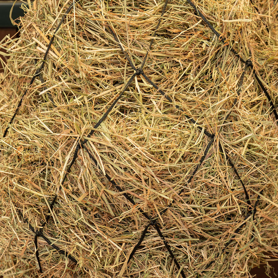 Agradi Horse Hay Net Mesh 15x15cm Black