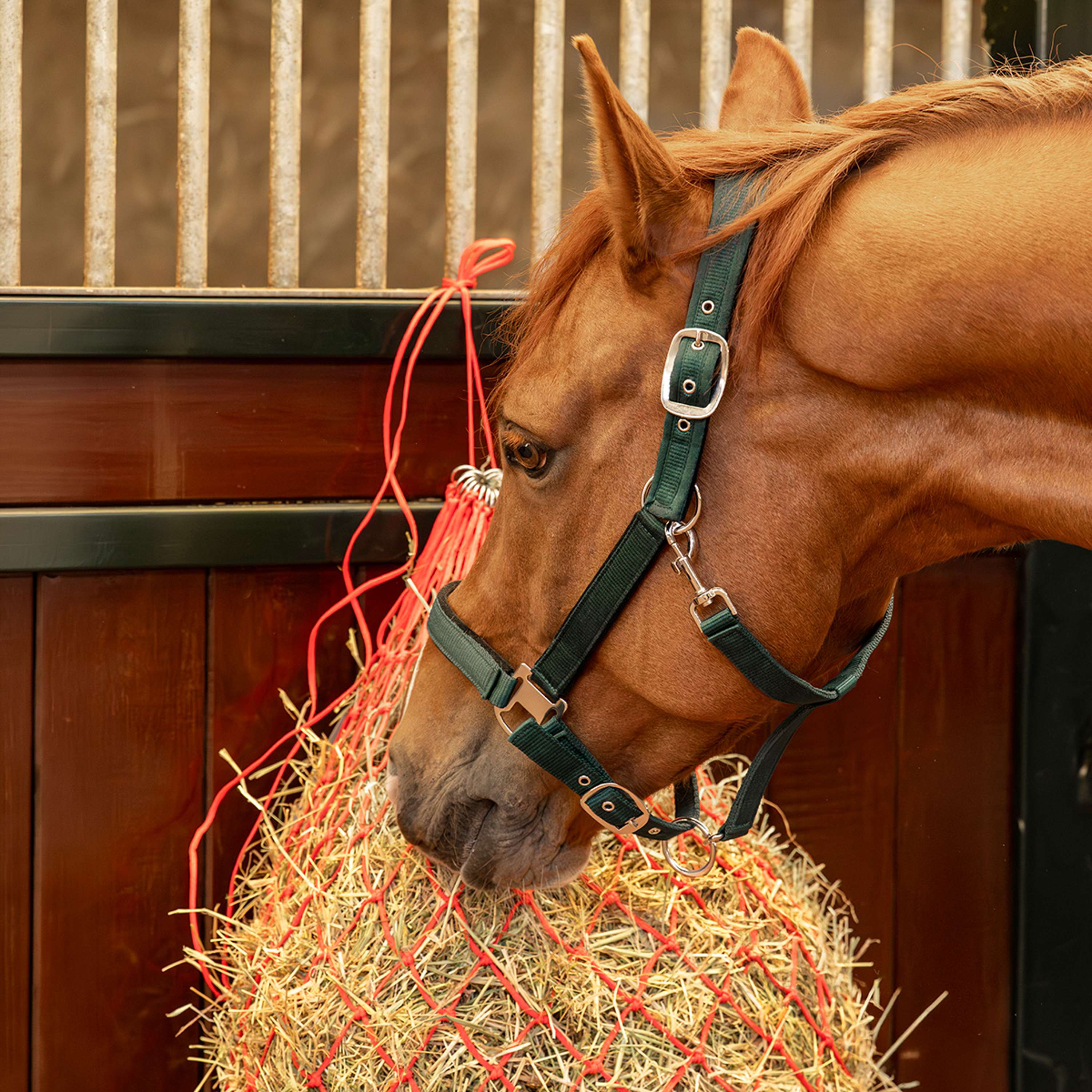 Agradi Horse Hay Net Fine Mesh 5x5cm Red
