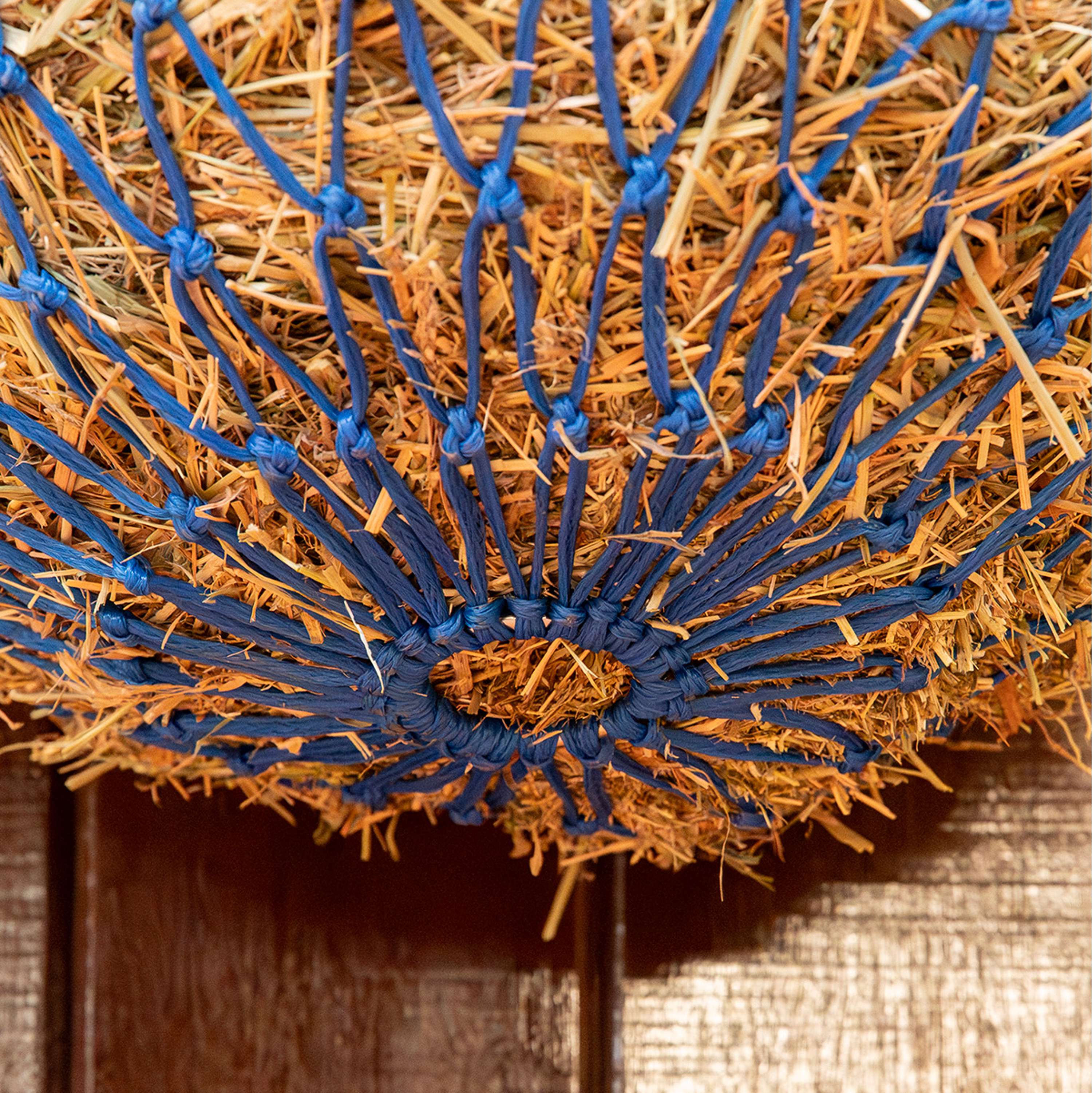 Agradi Horse Hay Net Fine Mesh 5x5cm Blue