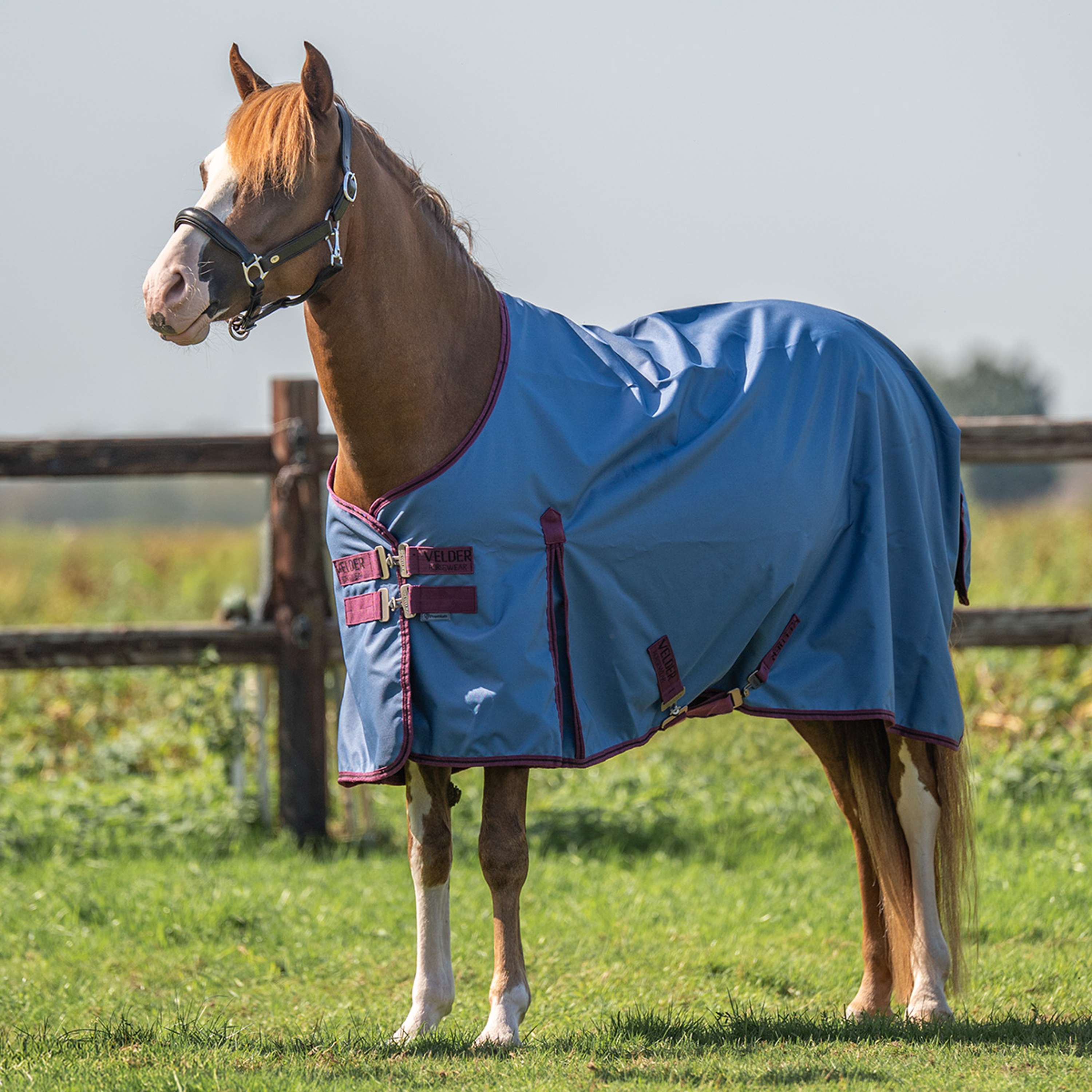 Velder Horsewear Premium Pony Turnout Rug 900D 0g Denim Blue