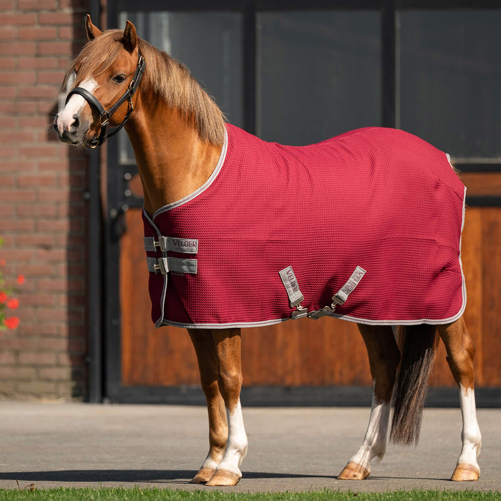 Velder Horsewear Premium Pony Waffle Cooler Rug Mulberry Red