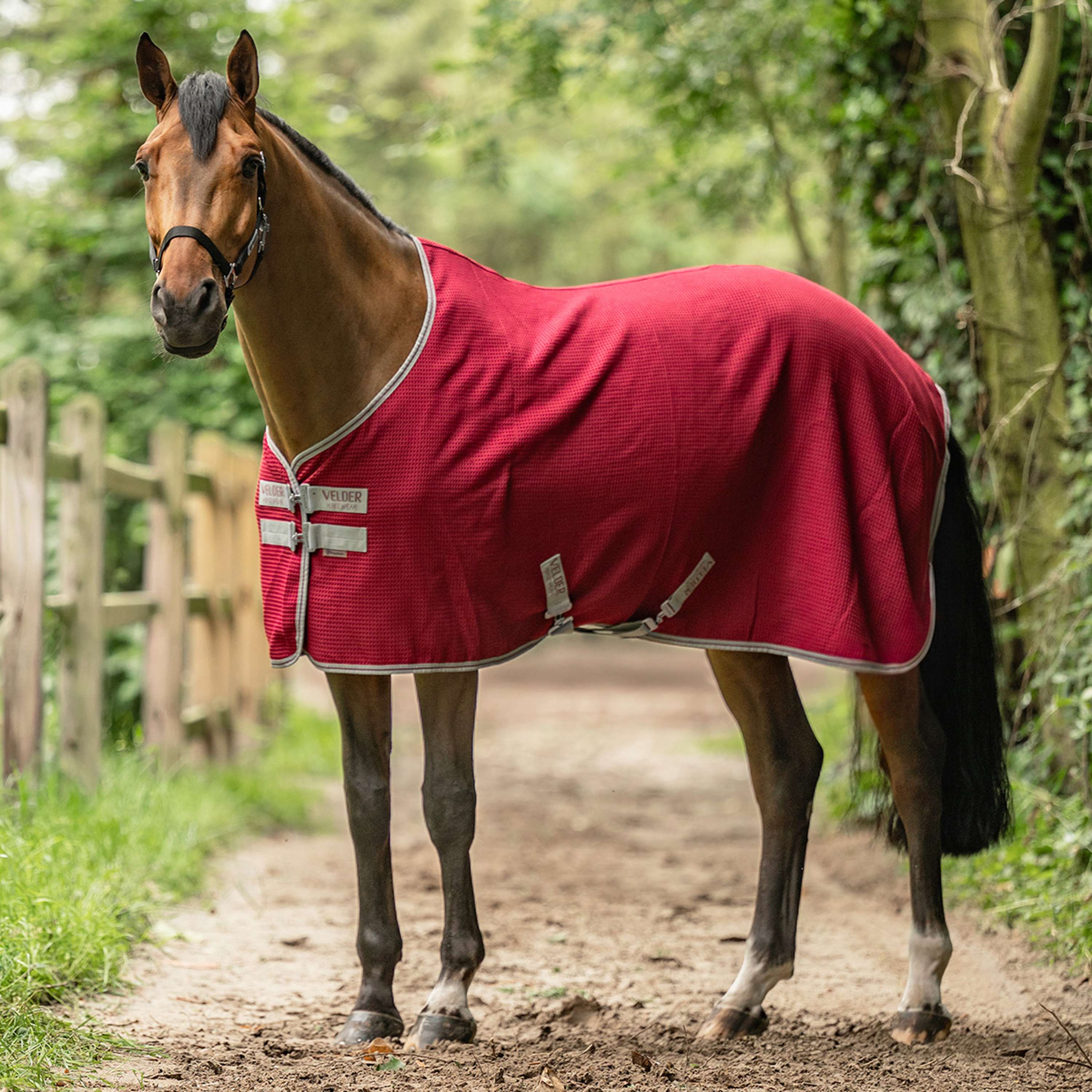 Velder Horsewear Premium Waffle Cooler Rug Mulberry Red