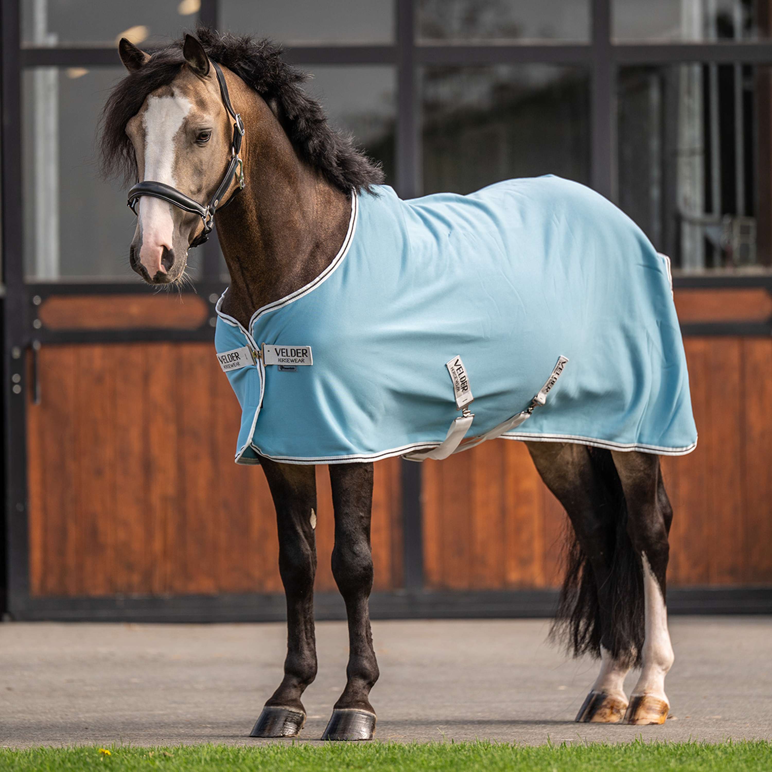 Velder Horsewear Essentials Pony Cooler Rug Aqua blue