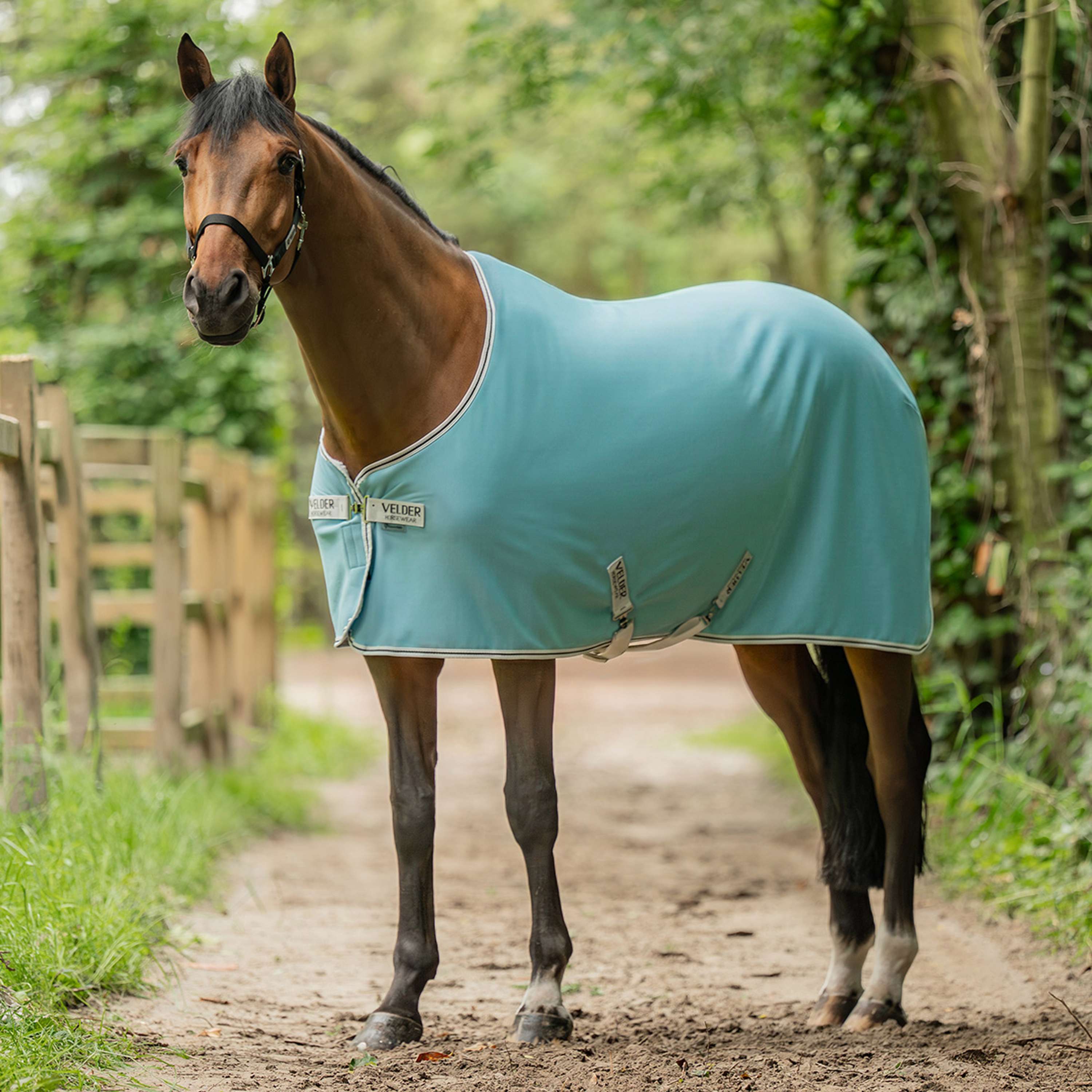 Velder Horsewear Essentials Cooler Rug Aqua blue
