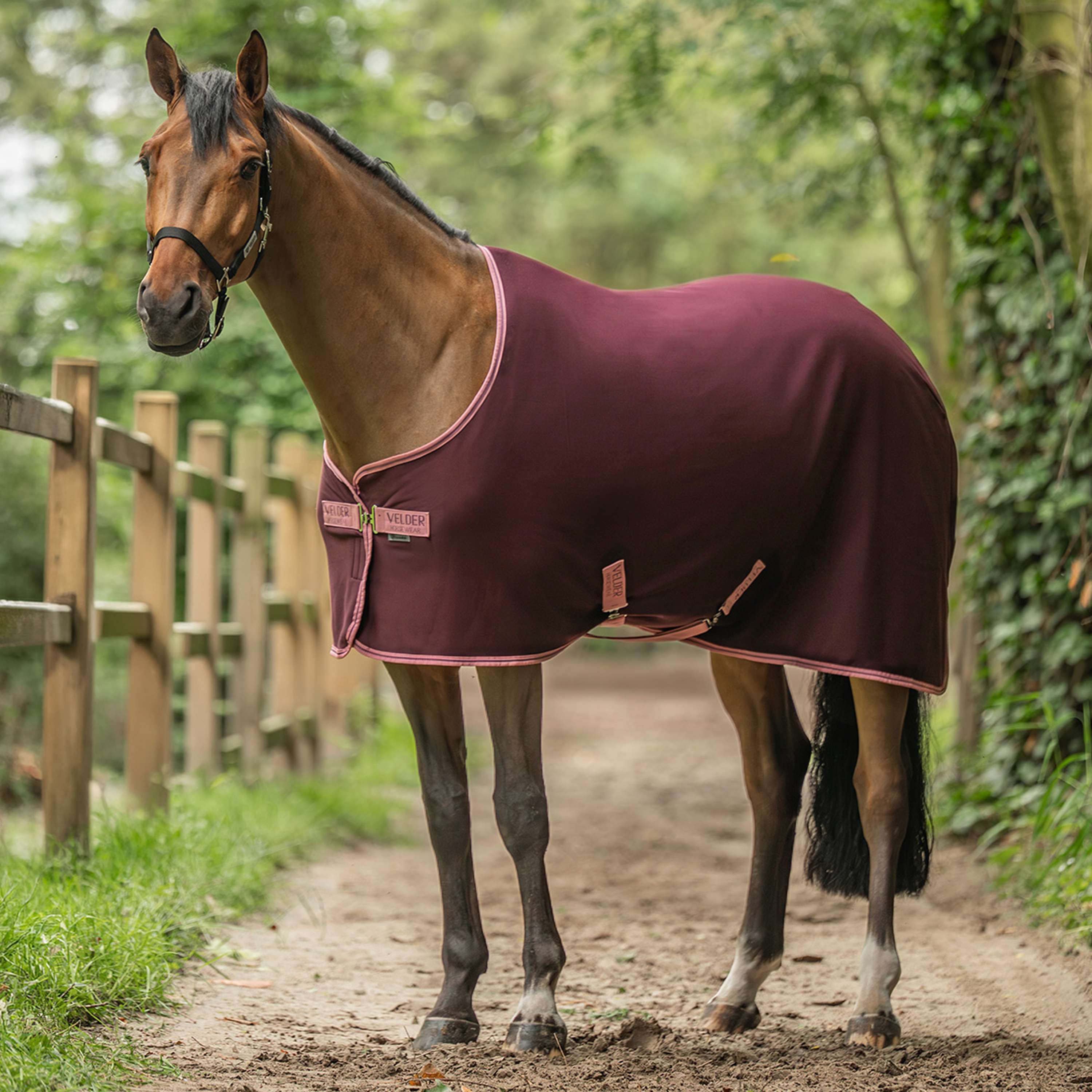 Velder Horsewear Essentials Cooler Rug Plum Brown